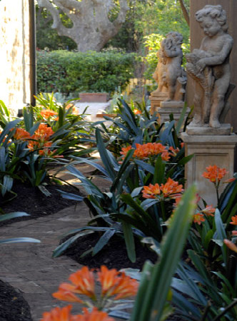 Мал, да удал: Выбираем растения для маленького сада