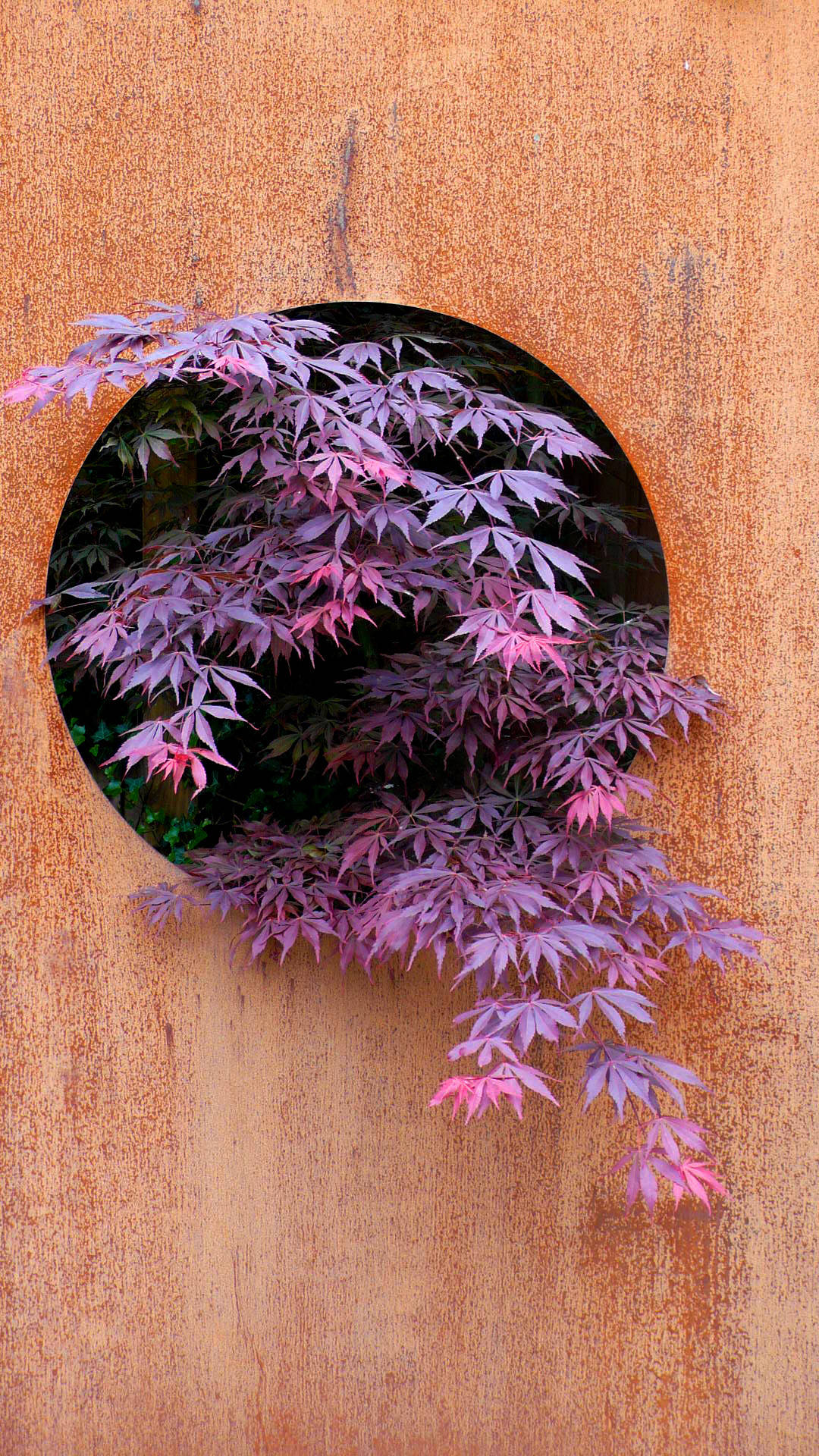 Декоративный забор: Как красиво отгородиться от посторонних