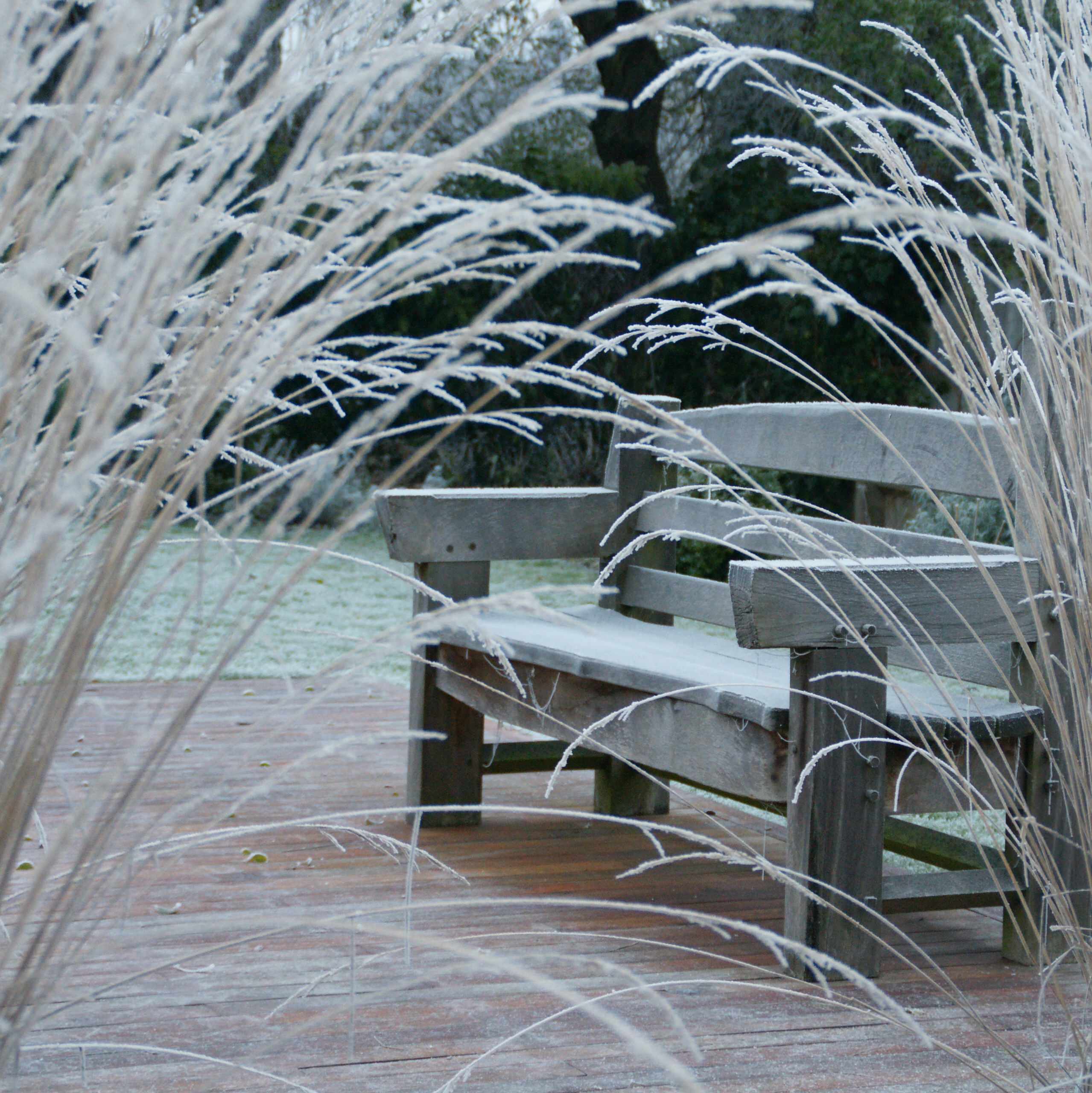 И все-таки уже весна: Календарь садовода на март