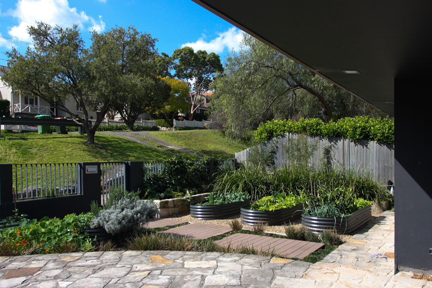 Мир дизайна: 10 огородников-любителей показывают урожай со своих грядок