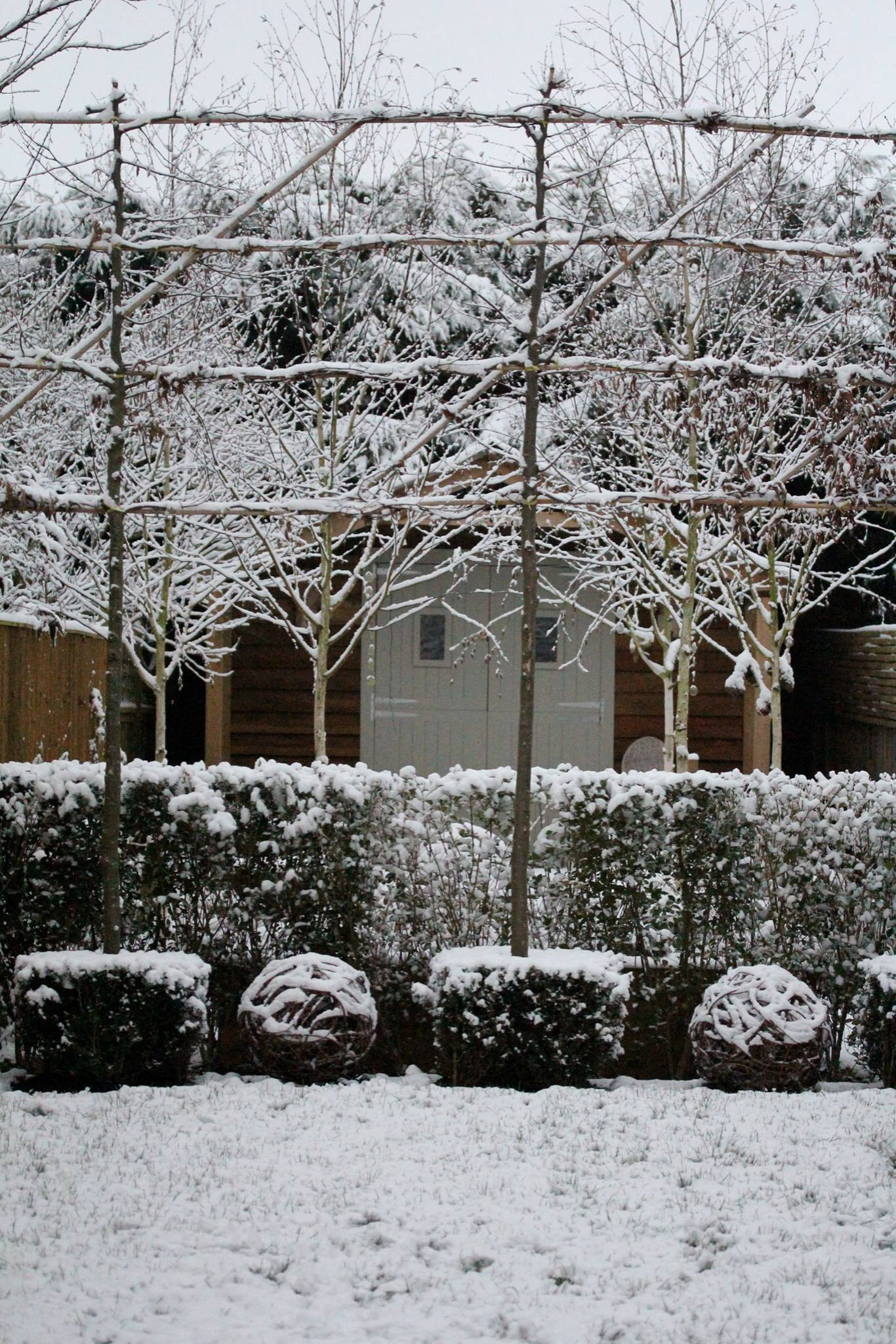 Азы садовода: Обрезка плодовых деревьев и кустарников