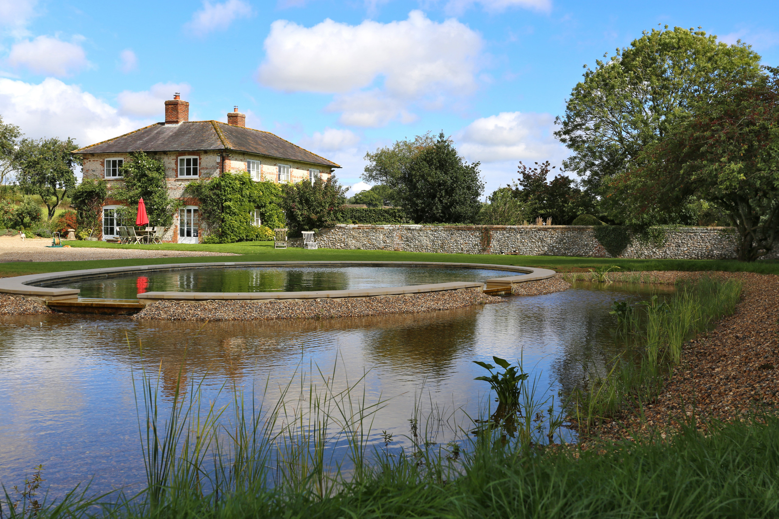 Фотоохота: 20 идей для природного бассейна [чистится растениями]