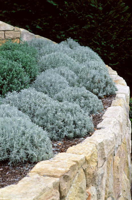 Игры на траве: Что нужно знать про оформление газонов