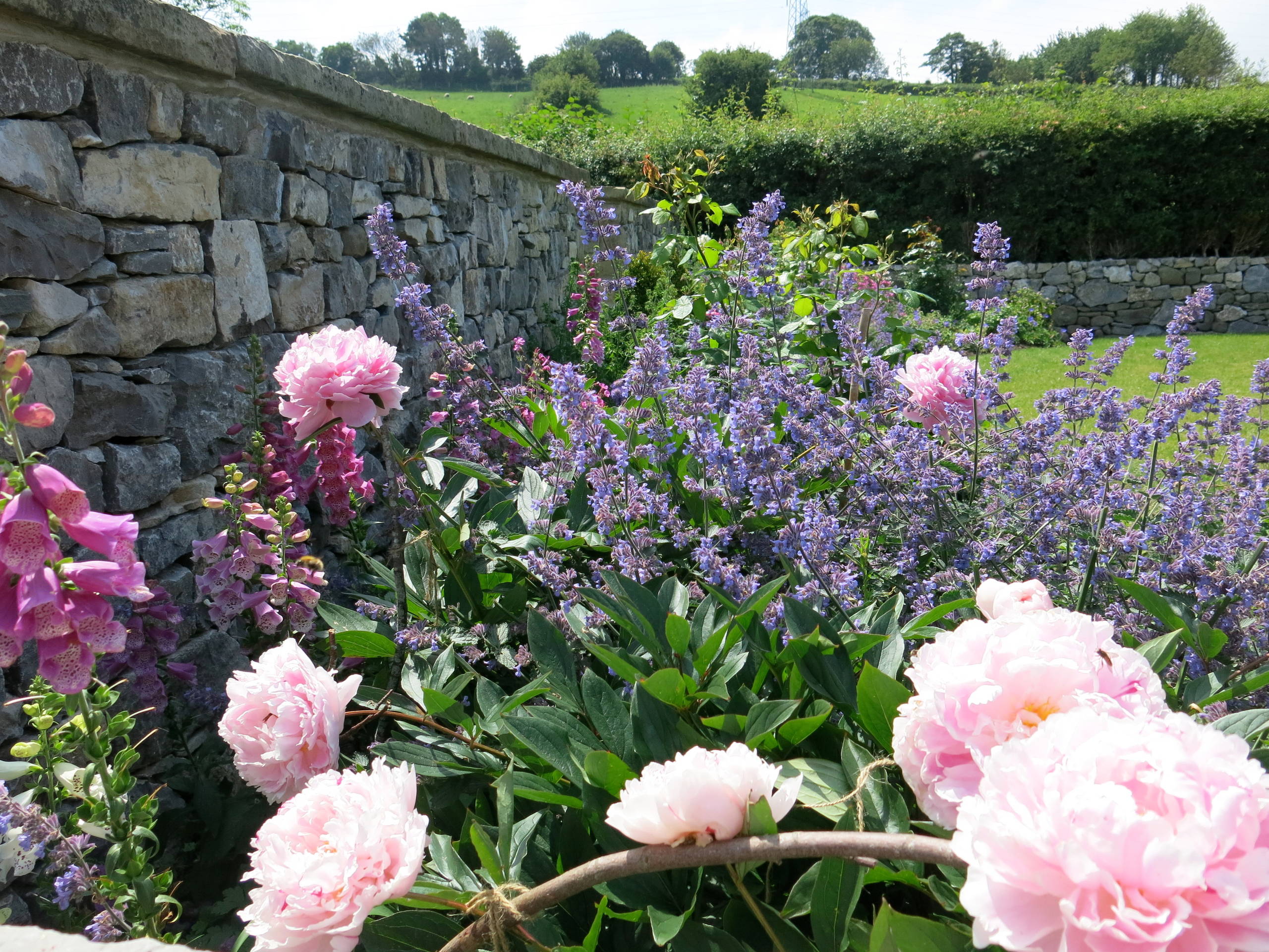 Утопленный сад: Звучит интригующе, а на самом деле все просто