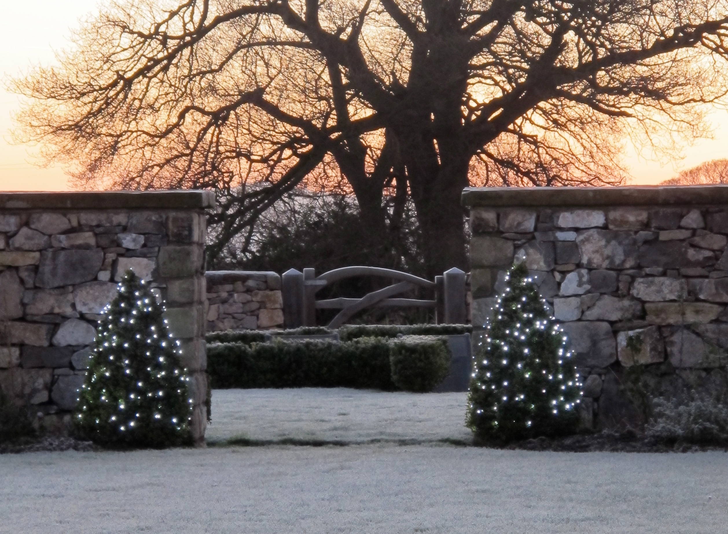 Новый год: Преимущества и недостатки LED-гирлянд