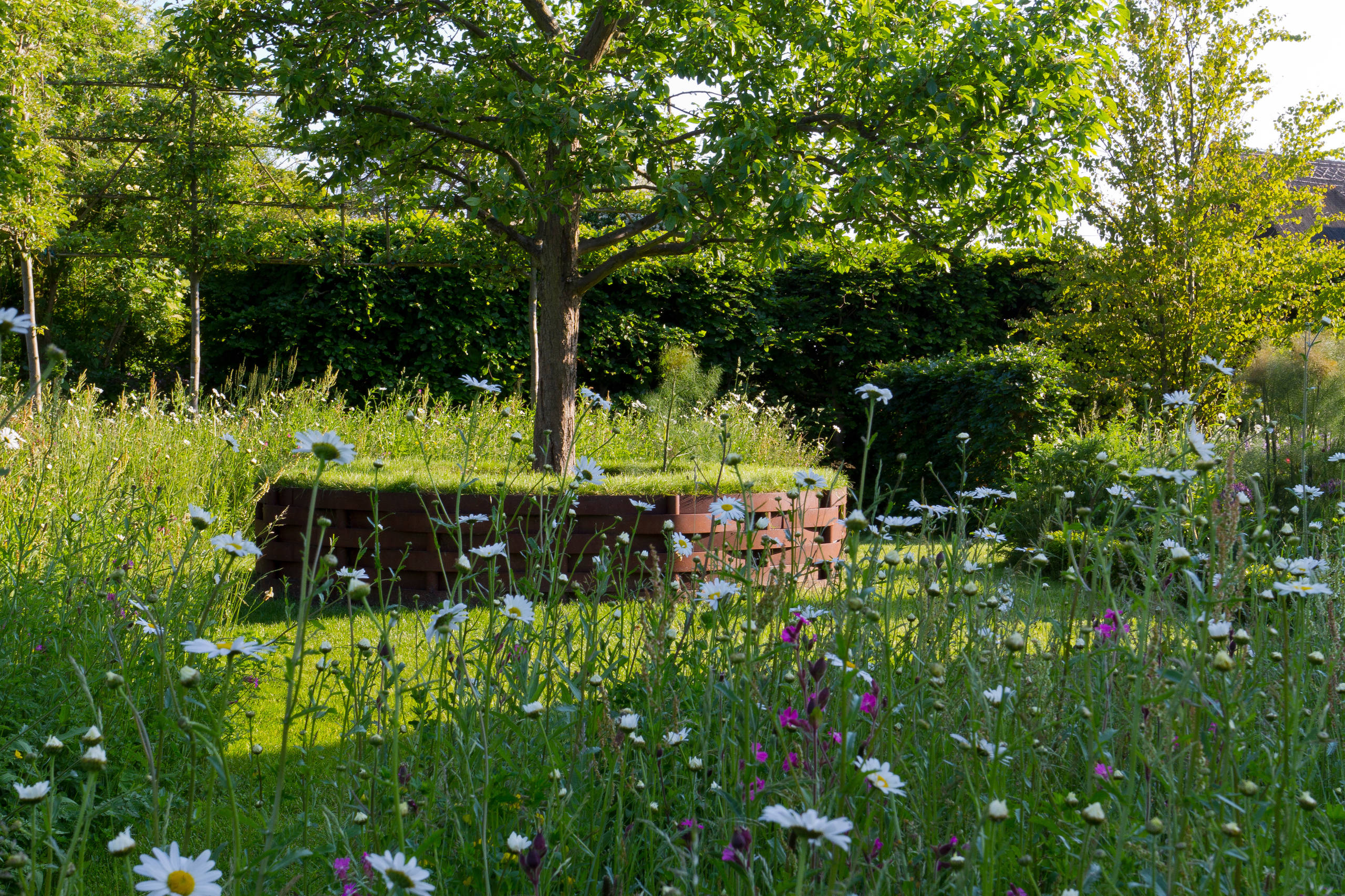 Как правильно: Вести стройку, без ущерба живой природе