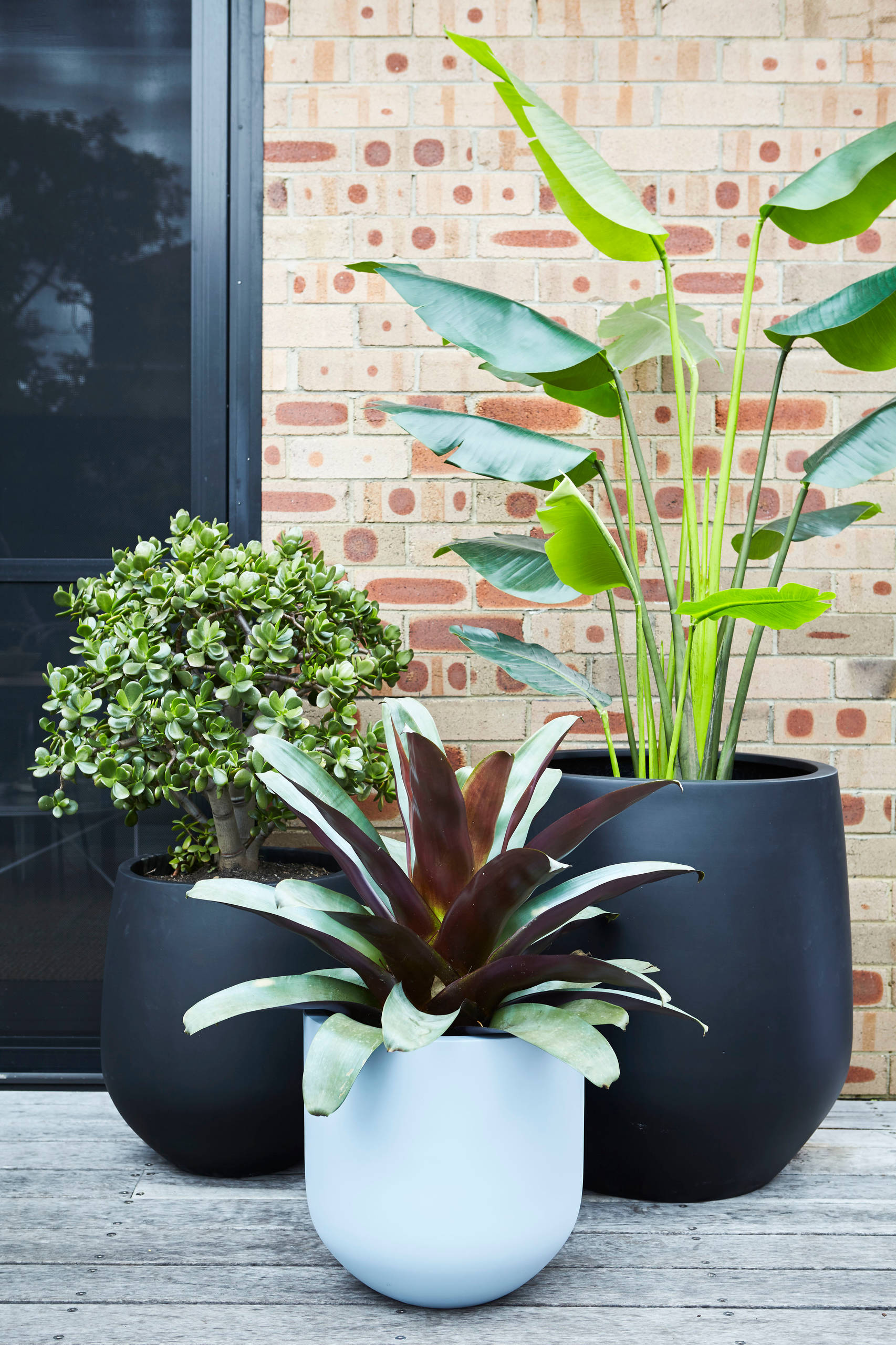 Зачем вам: Собирать бутылки для садового сезона