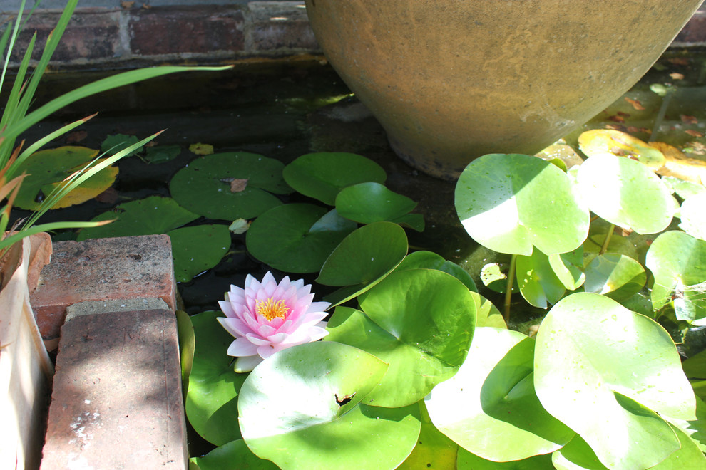 Горшку — место: 14 идей, куда можно поставить растения в кашпо