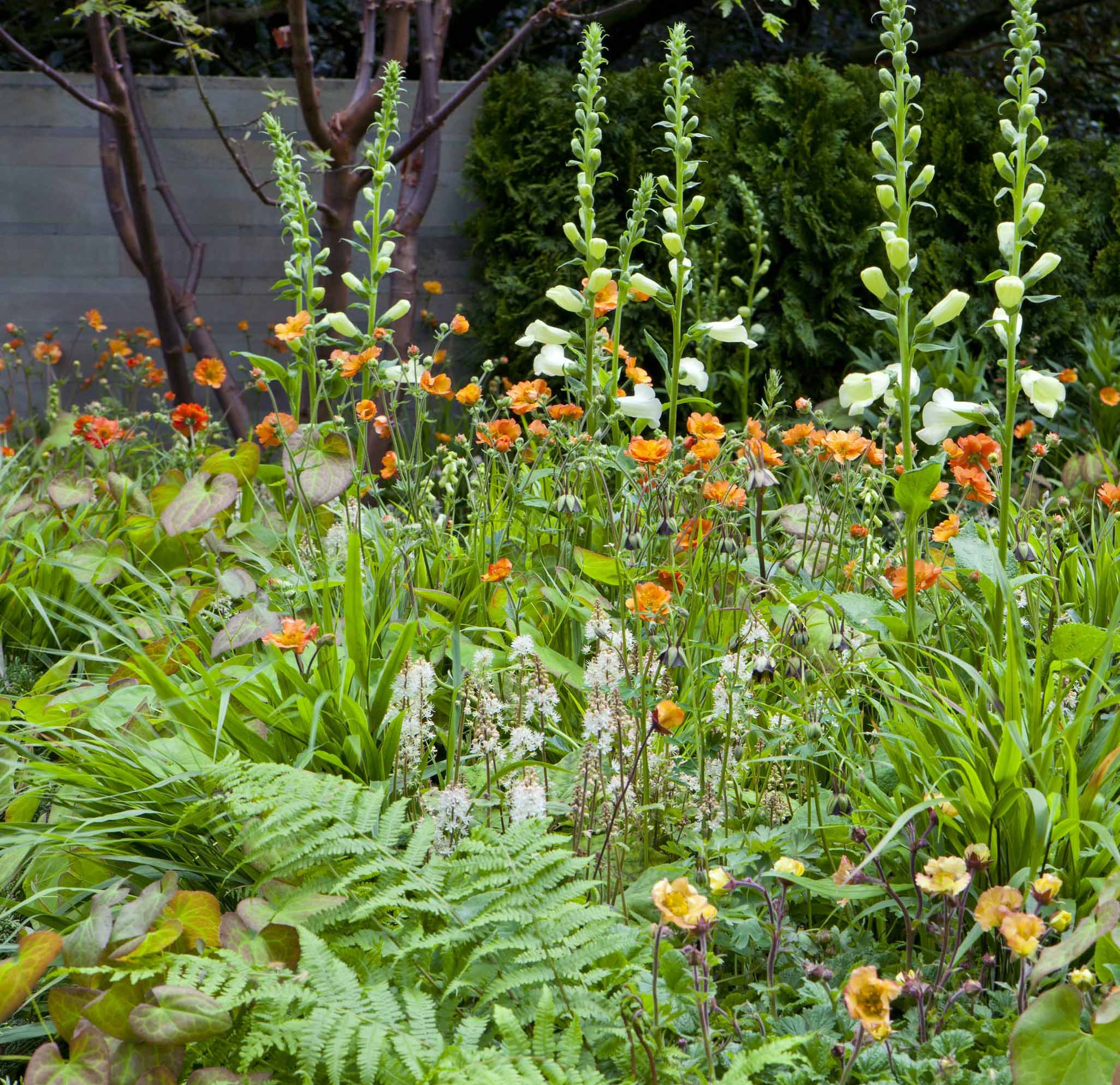 Уроки Chelsea Flower Show: Какими модными цветами украсить сад