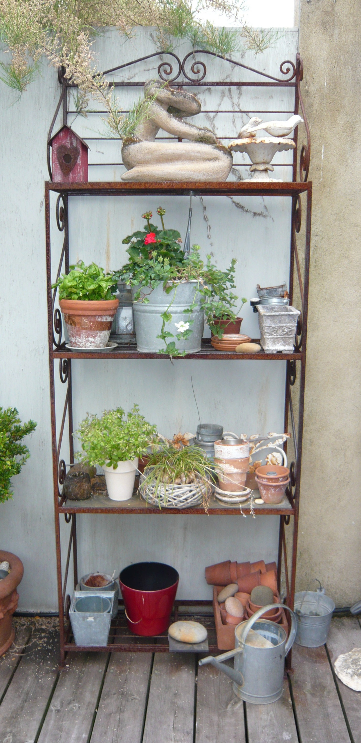 Блиц-озеленение: Как получить цветущий балкон за два дня