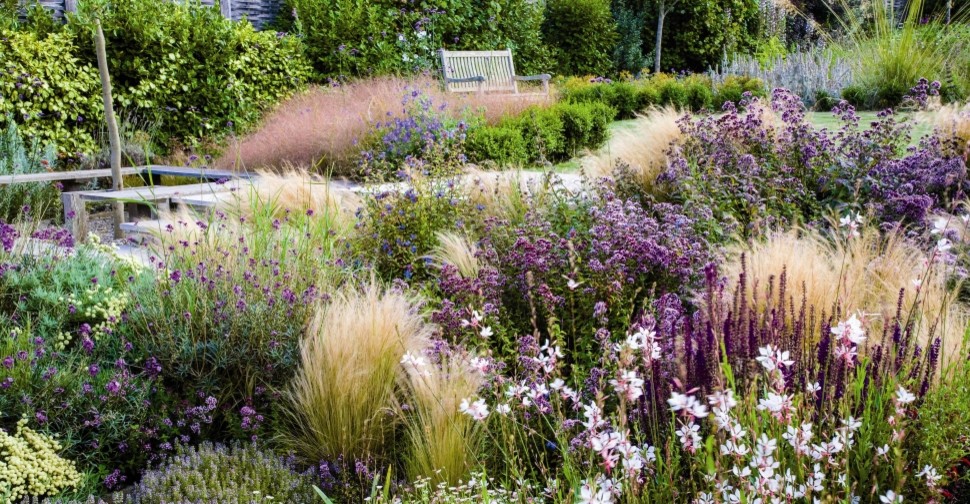 Сад легкого ухода: Луг вместо газона