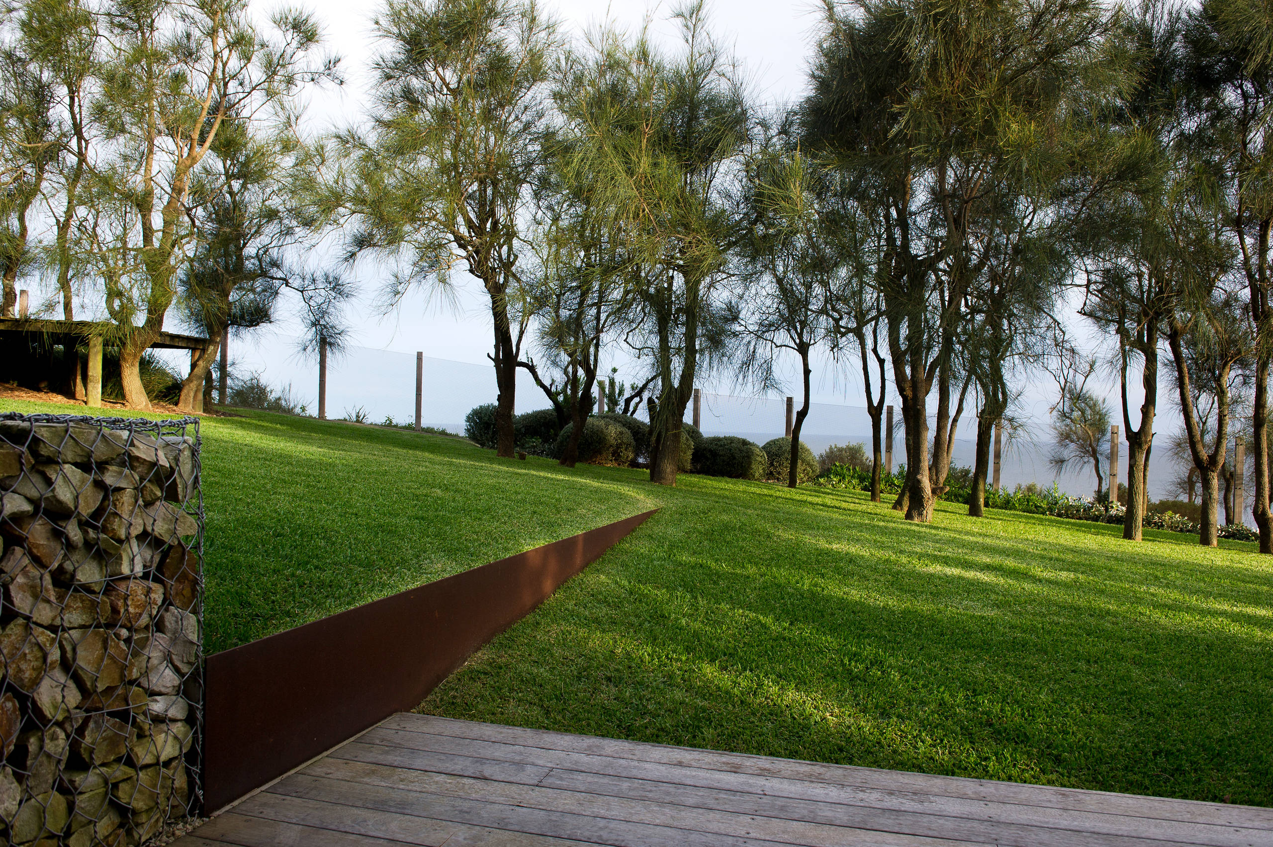 Хороший вопрос: А стоит ли бороться с сорняками на дачном участке