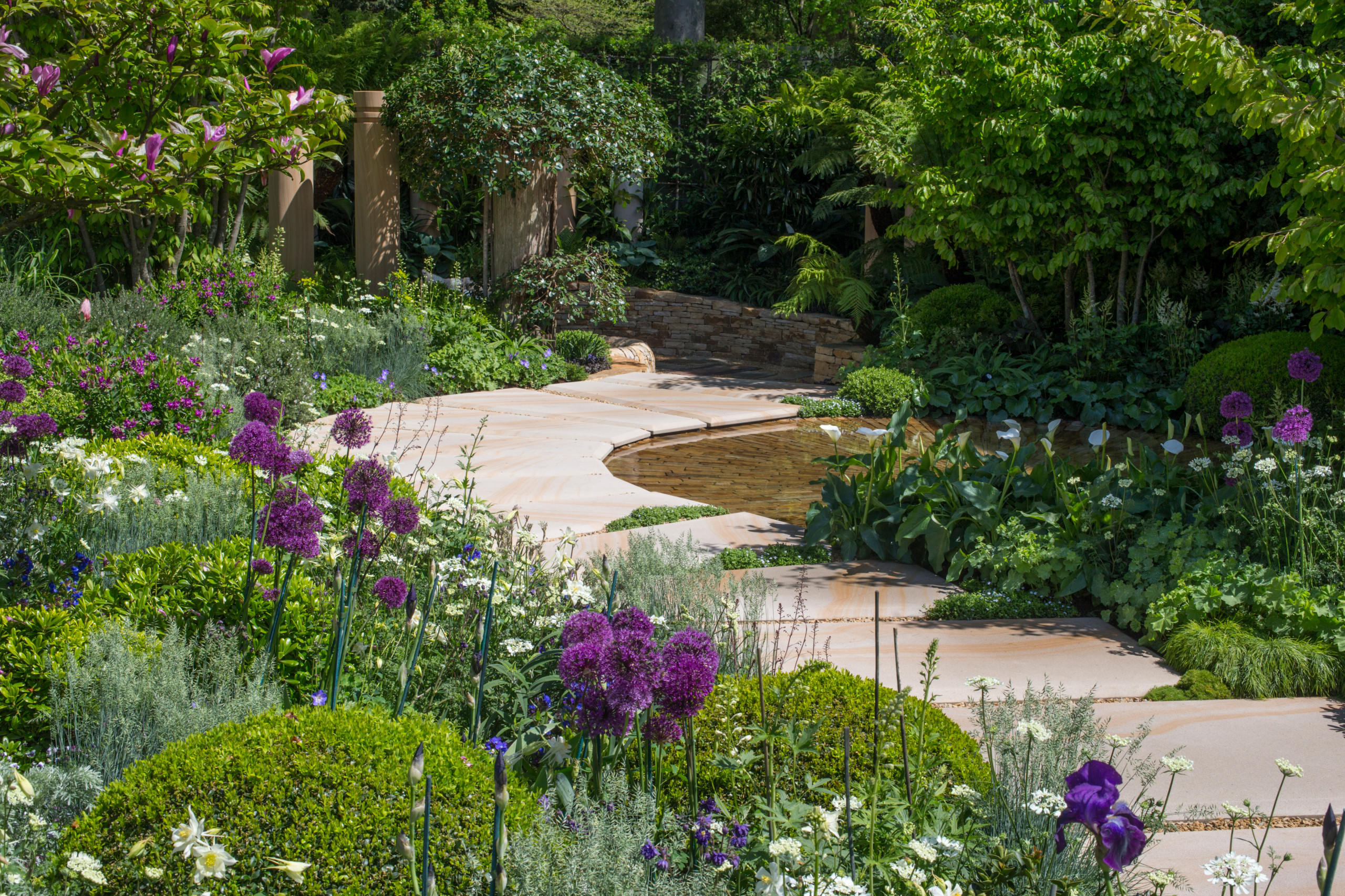 Уроки Chelsea Flower Show: Какими модными цветами украсить сад