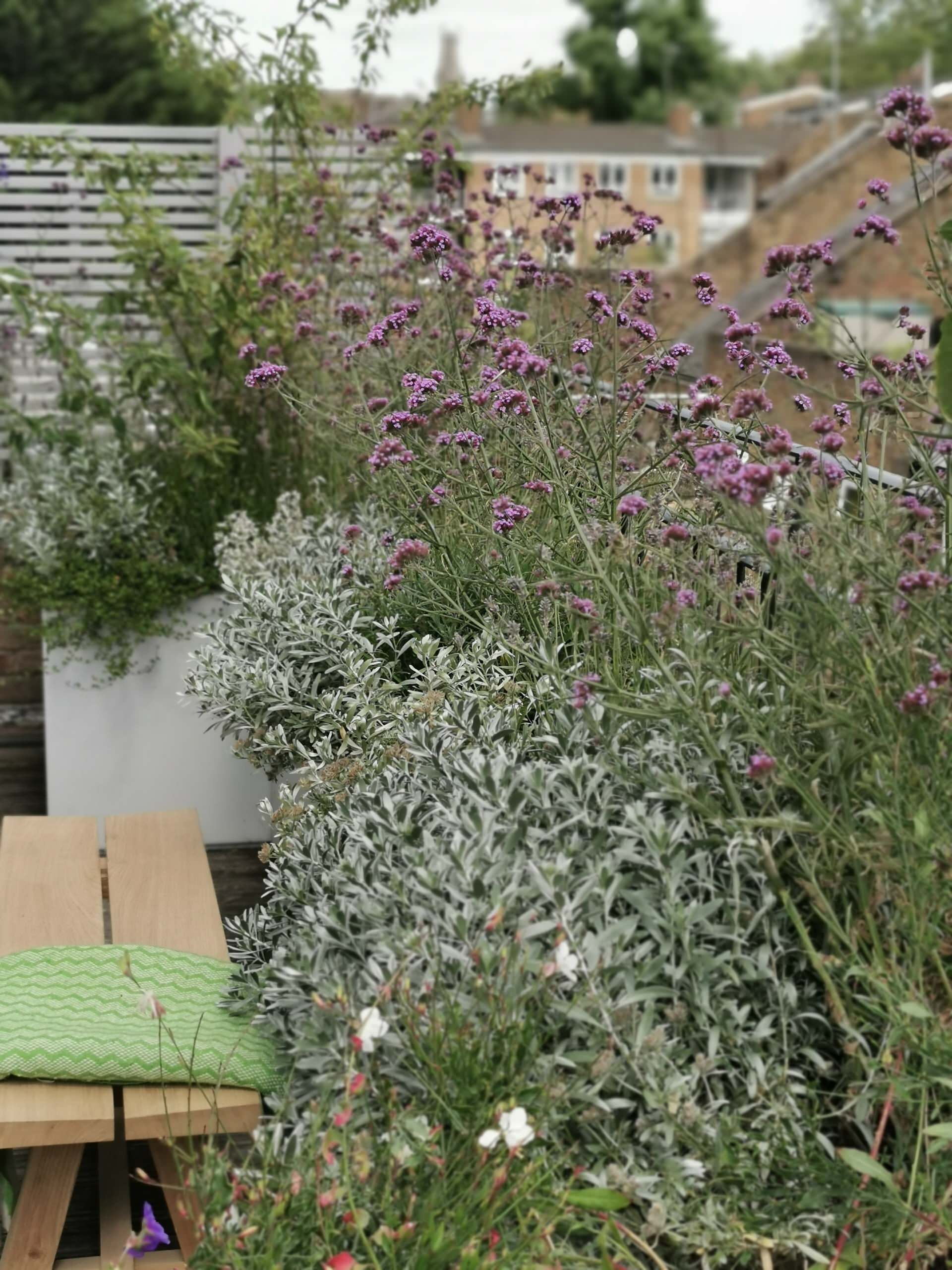 Houzz Британия: Терраса на крыше дома с деревом посередине