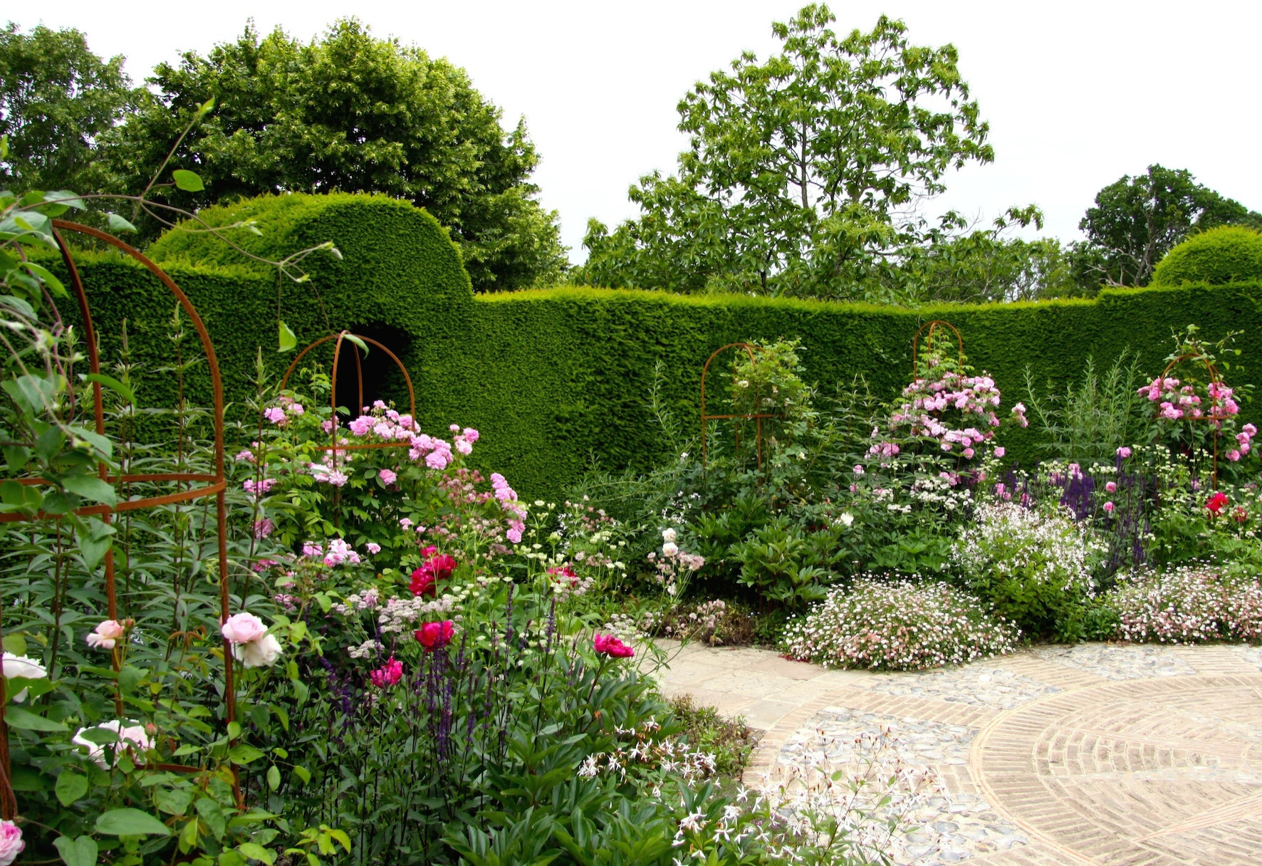 Живая изгородь: 7 насущных вопросов