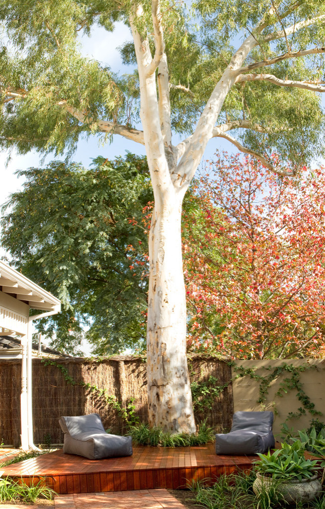 Фотоохота: 82 места для дневного сна на свежем воздухе