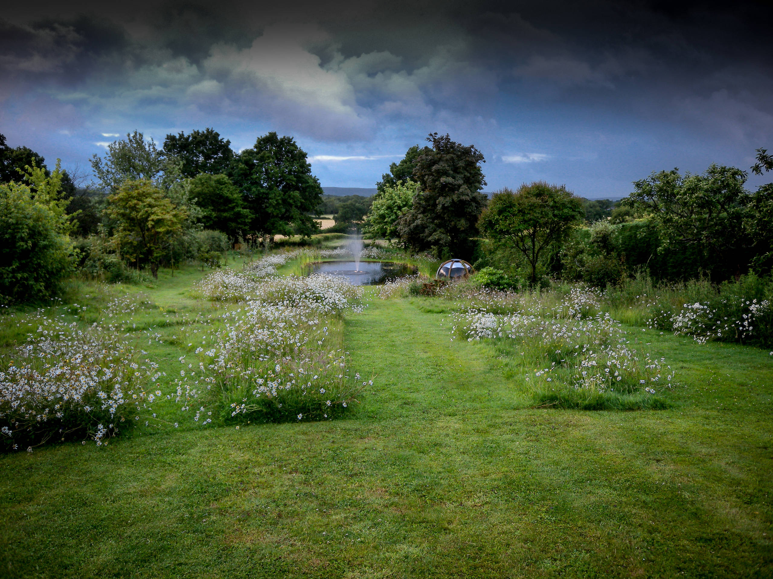 Сад легкого ухода: Луг вместо газона
