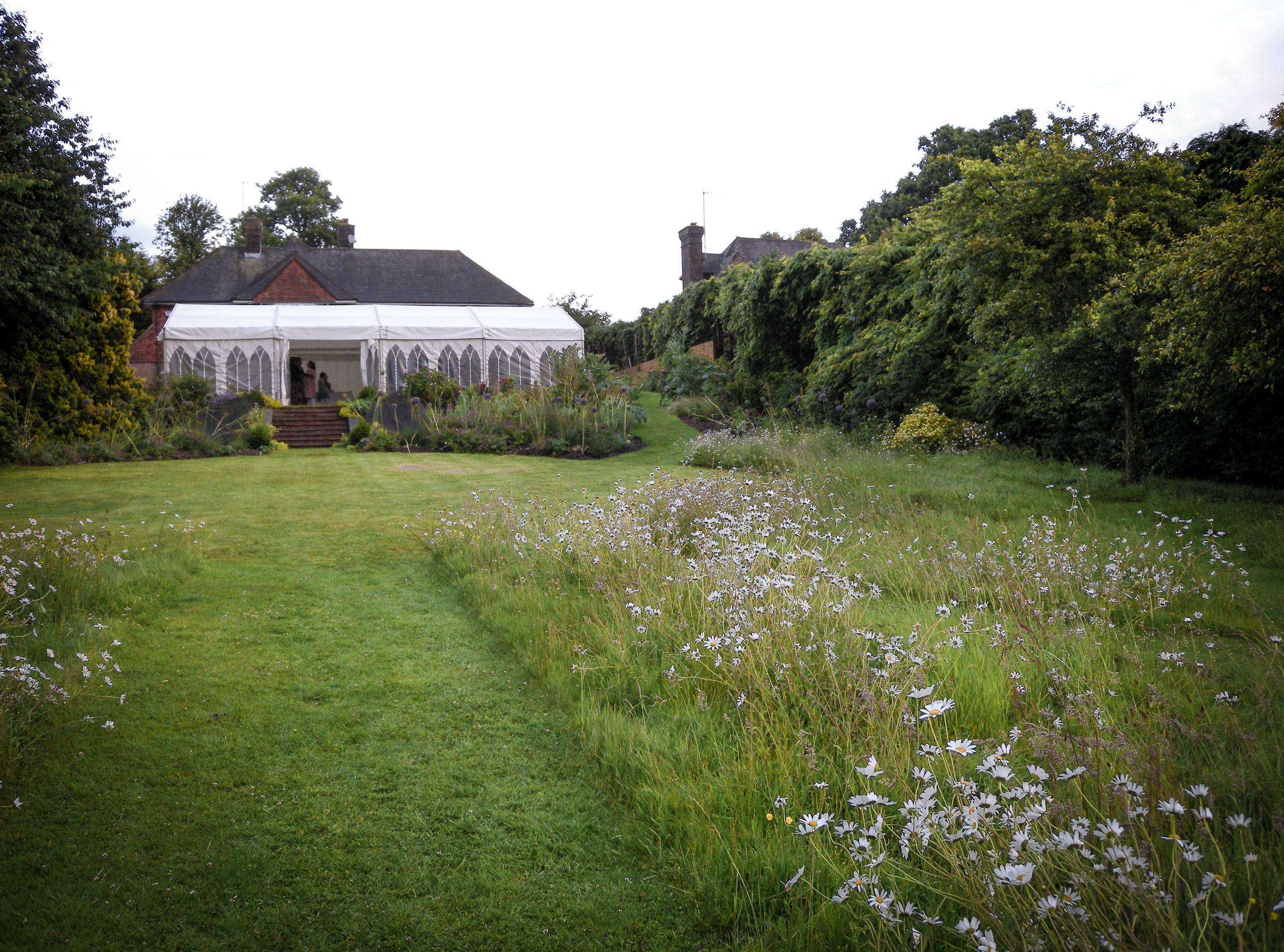 Сад легкого ухода: Луг вместо газона