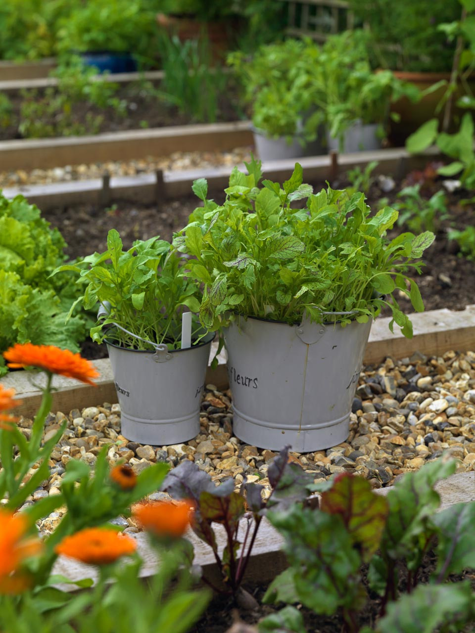 Для новичков: Когда сеять семена на рассаду — гид по месяцам