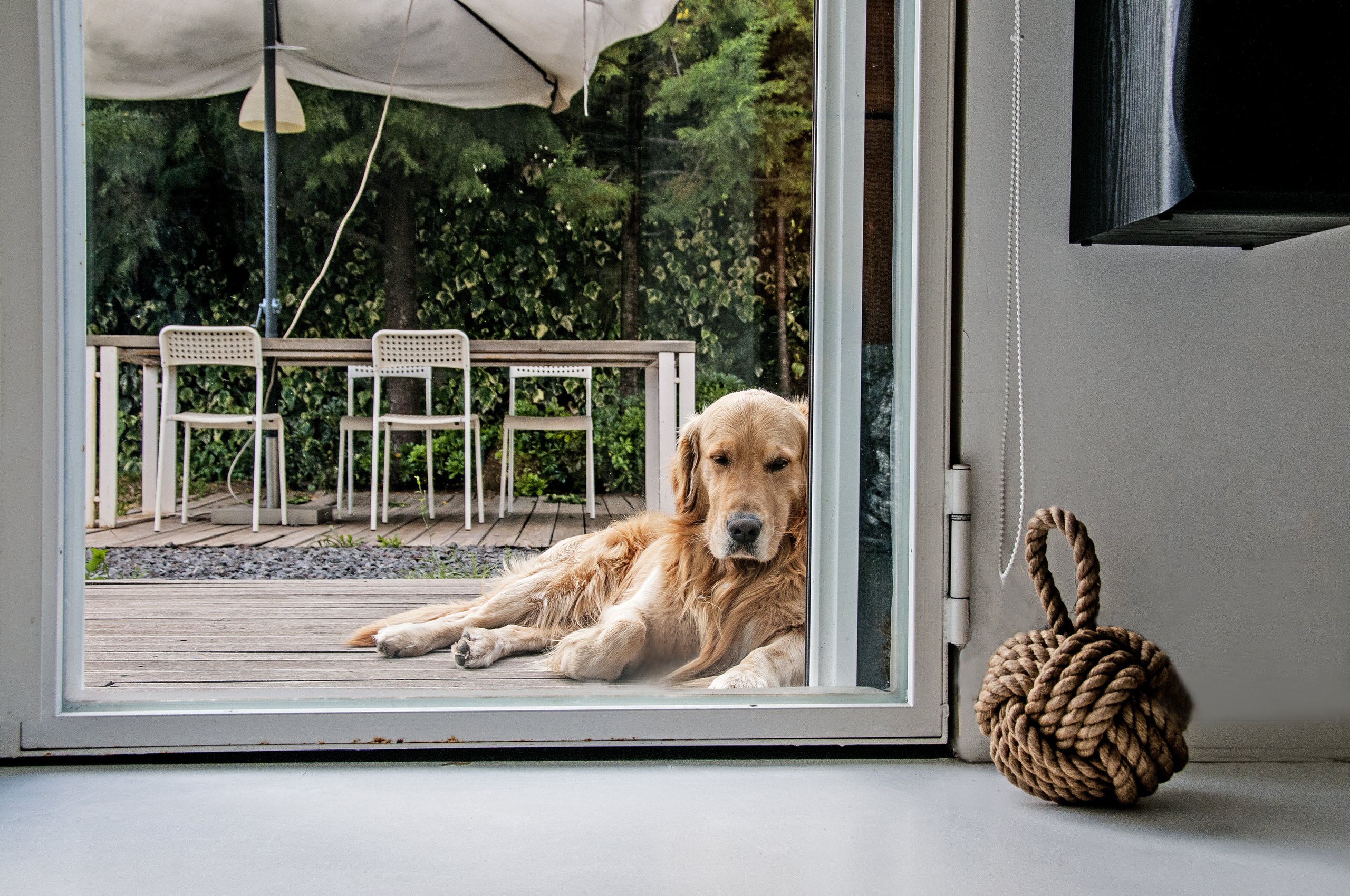 Houzz Италия: Гараж, переоборудованный в просторный дом