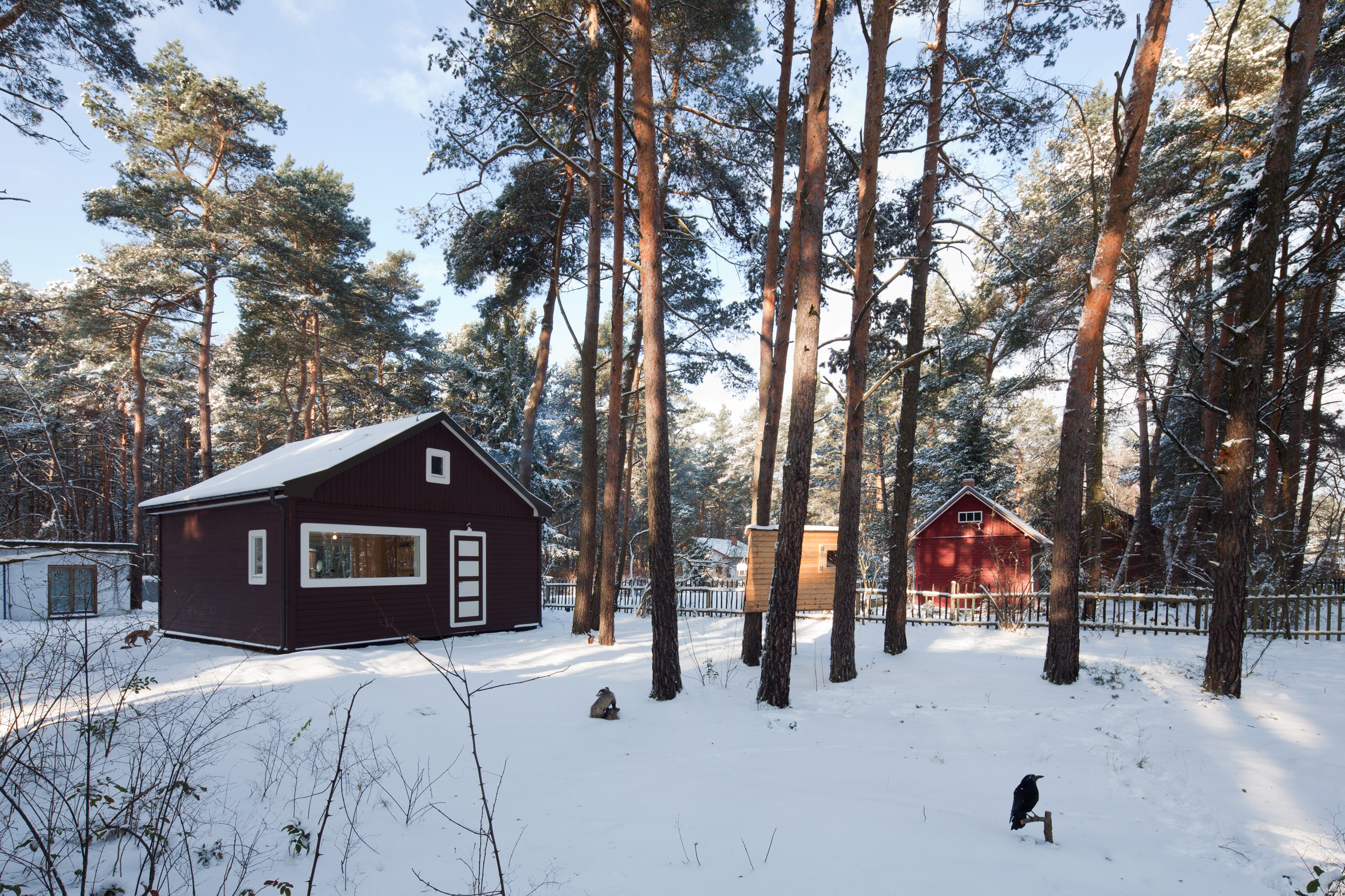 Насколько мал «маленький участок земли» в других странах