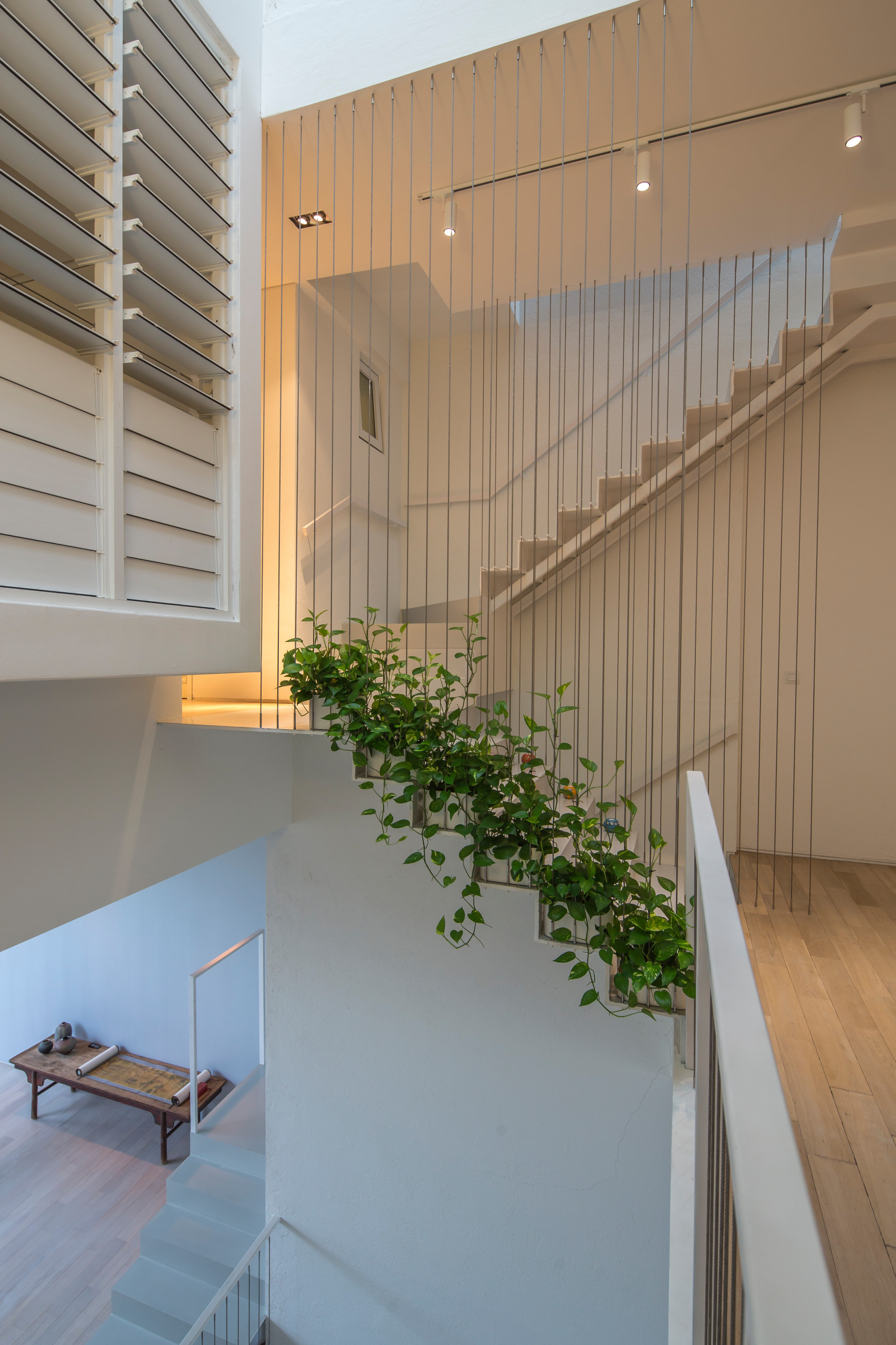 Houzz Сингапур: Дом с садом в Опера Эстейт