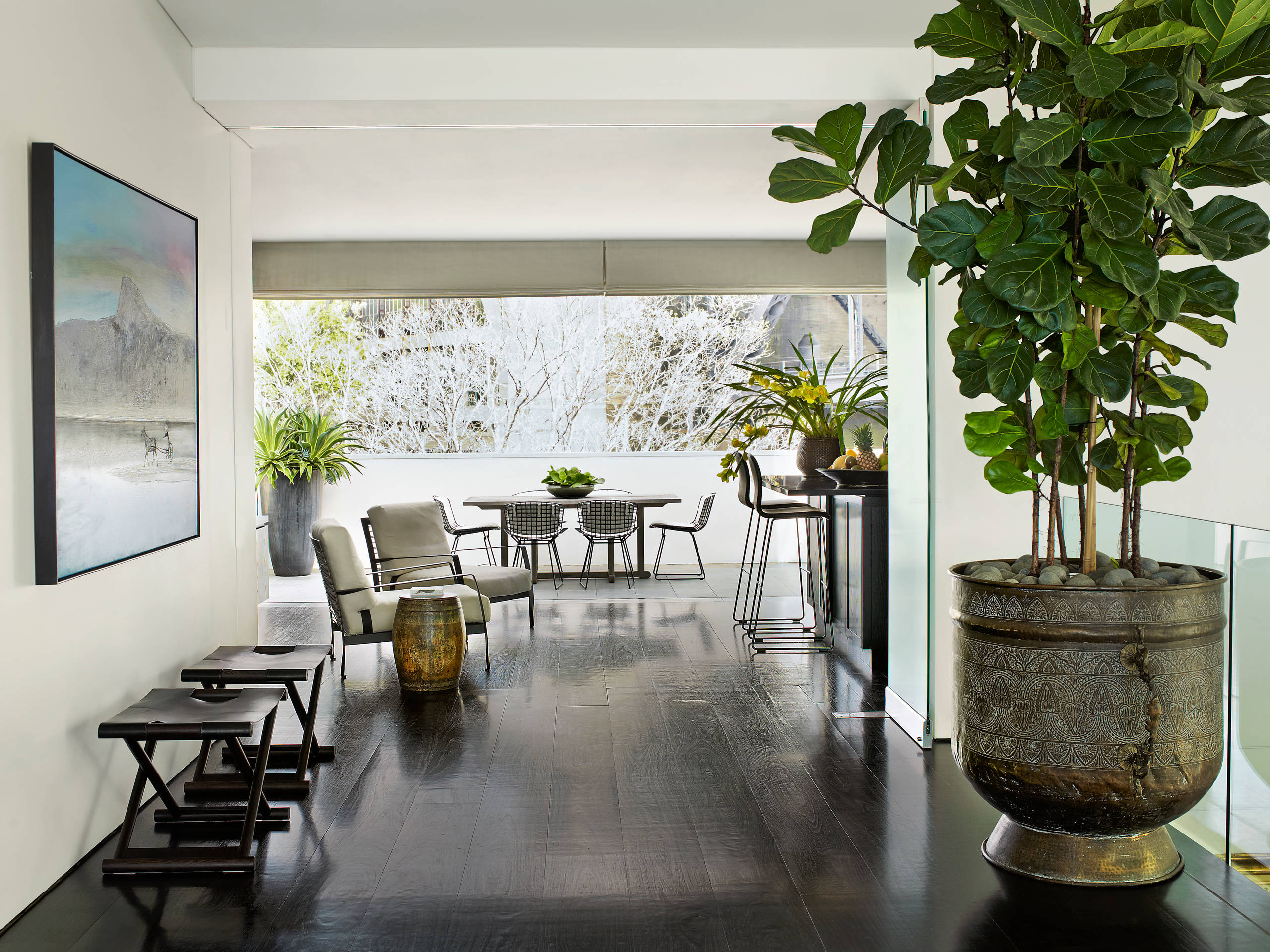 Счастливые комнатные растения — счастливые хозяева