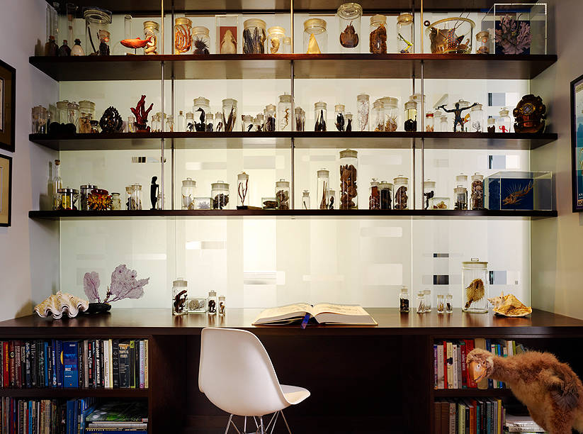 Хороший вопрос: Как хранить сувениры, чтобы не добавлять бардака в доме