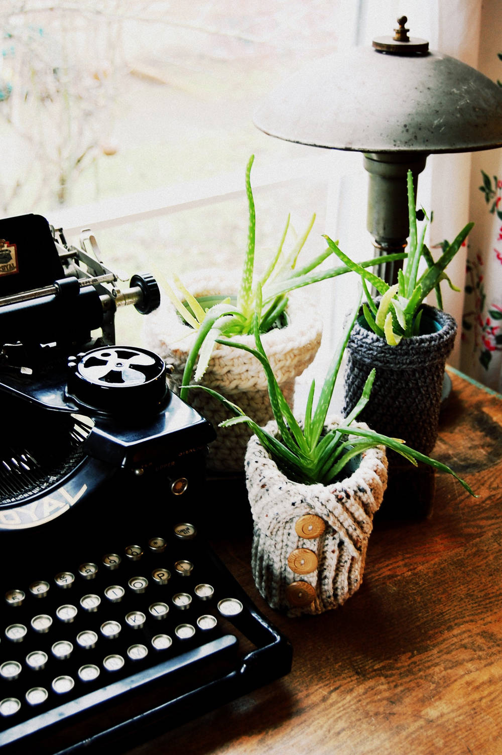 Цветы на подоконнике: 12 идей, как расставить их по правилам декора