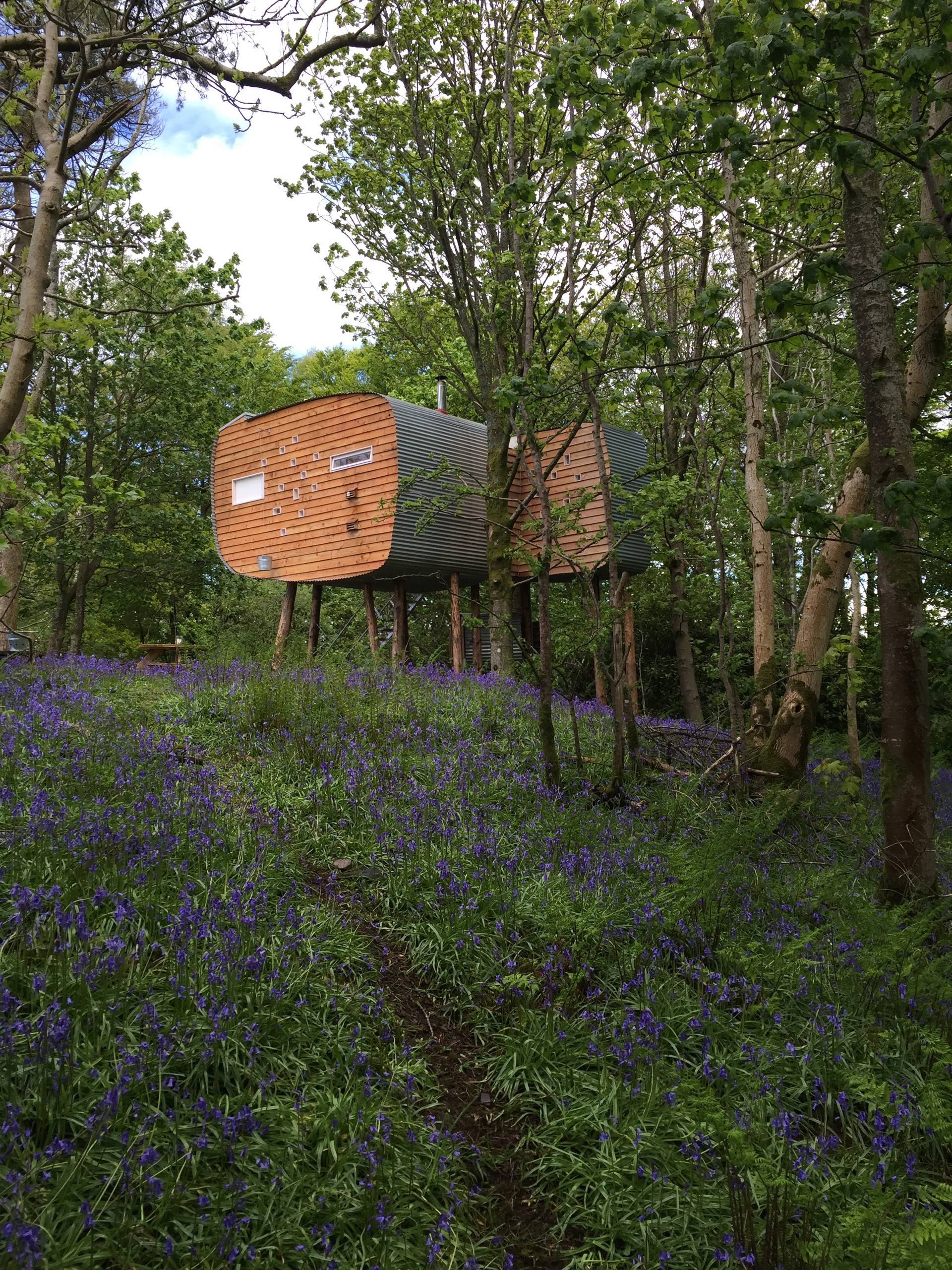 Мир дизайна: 10 домов на деревьях — на радость детям и взрослым