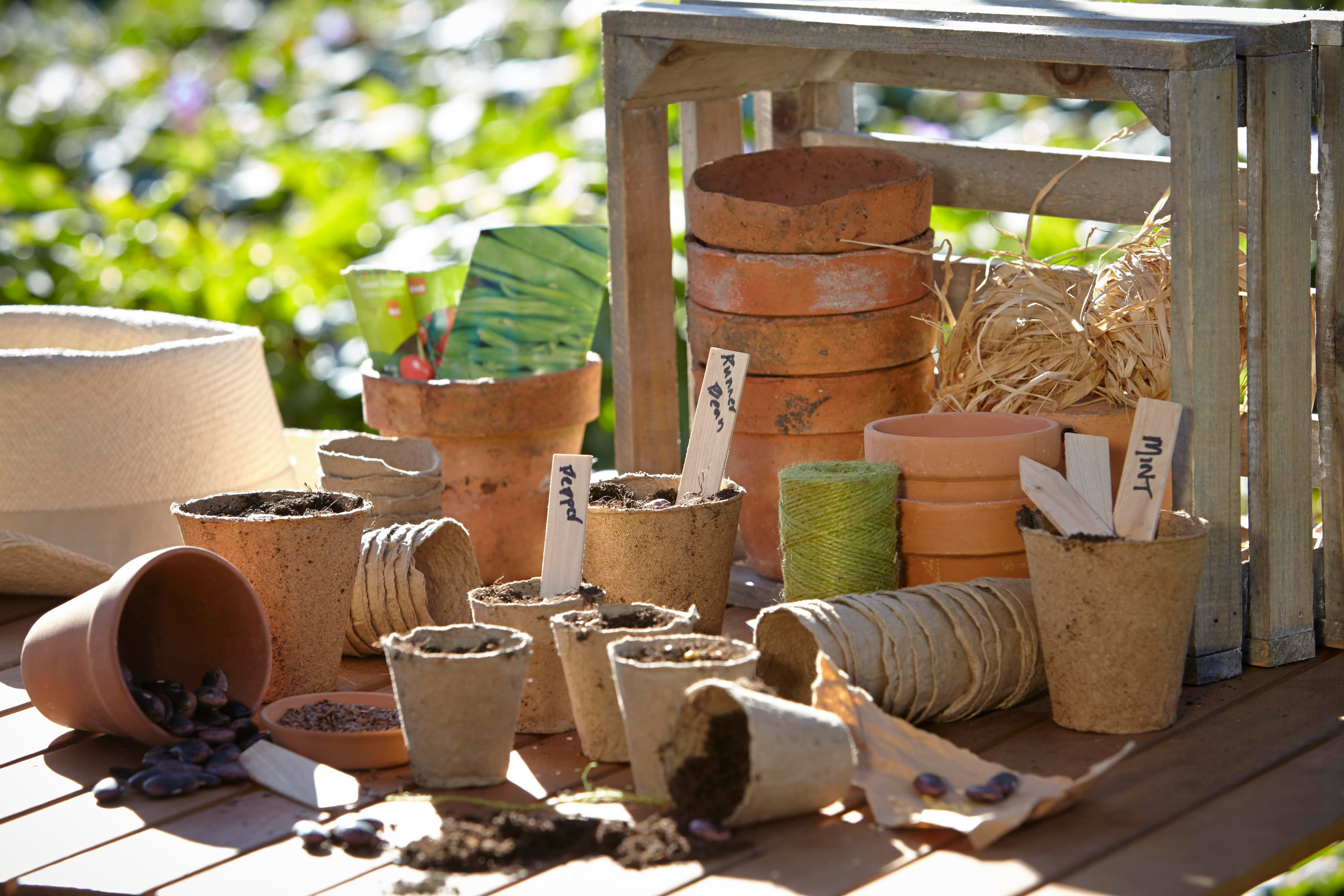 Работа над ошибками: Что пошло не так на клумбе