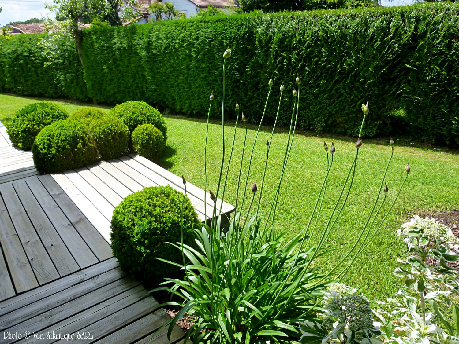 Планировка: Участки неправильной формы