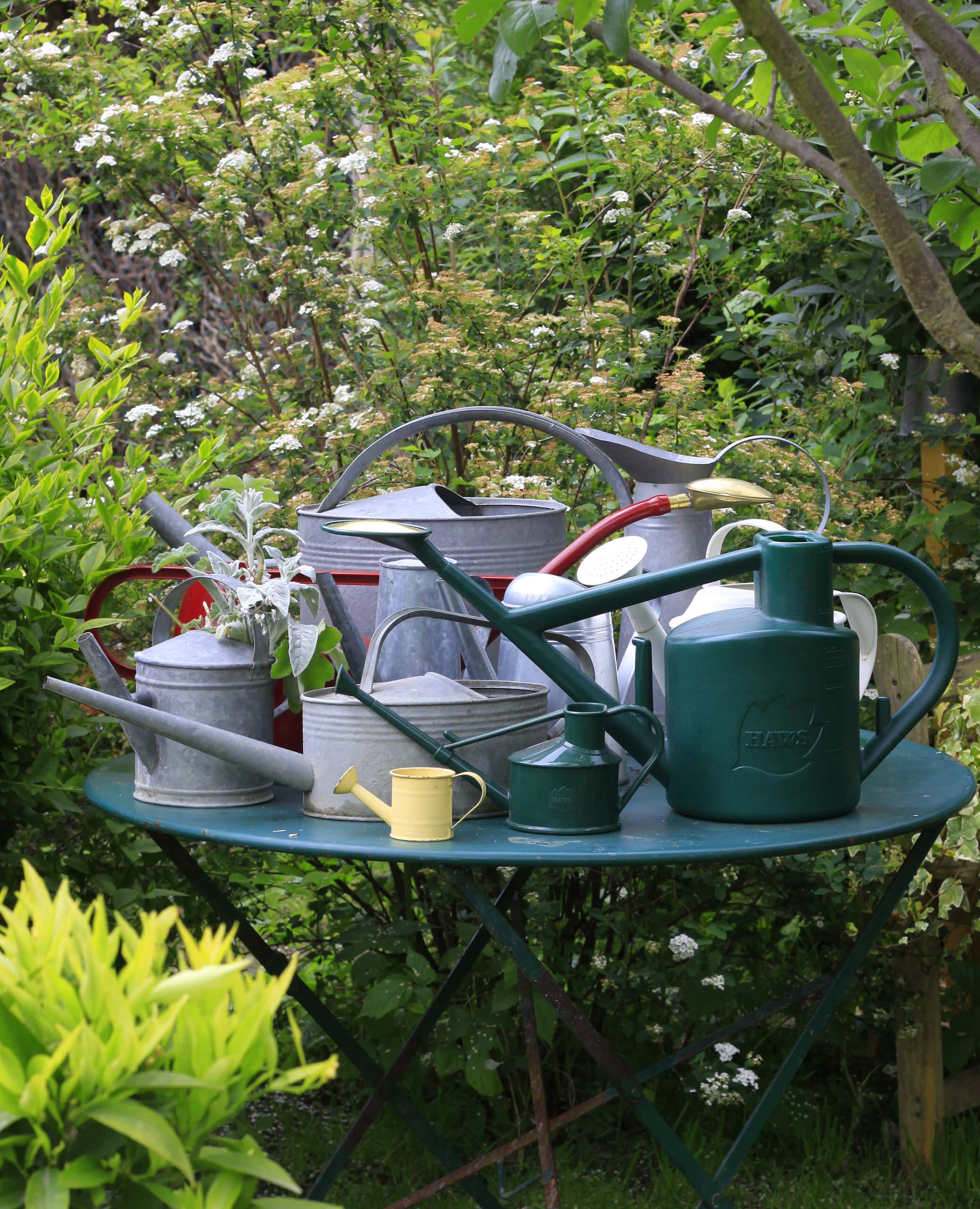 Цветущий сад: Календарь на май для дачников и садоводов