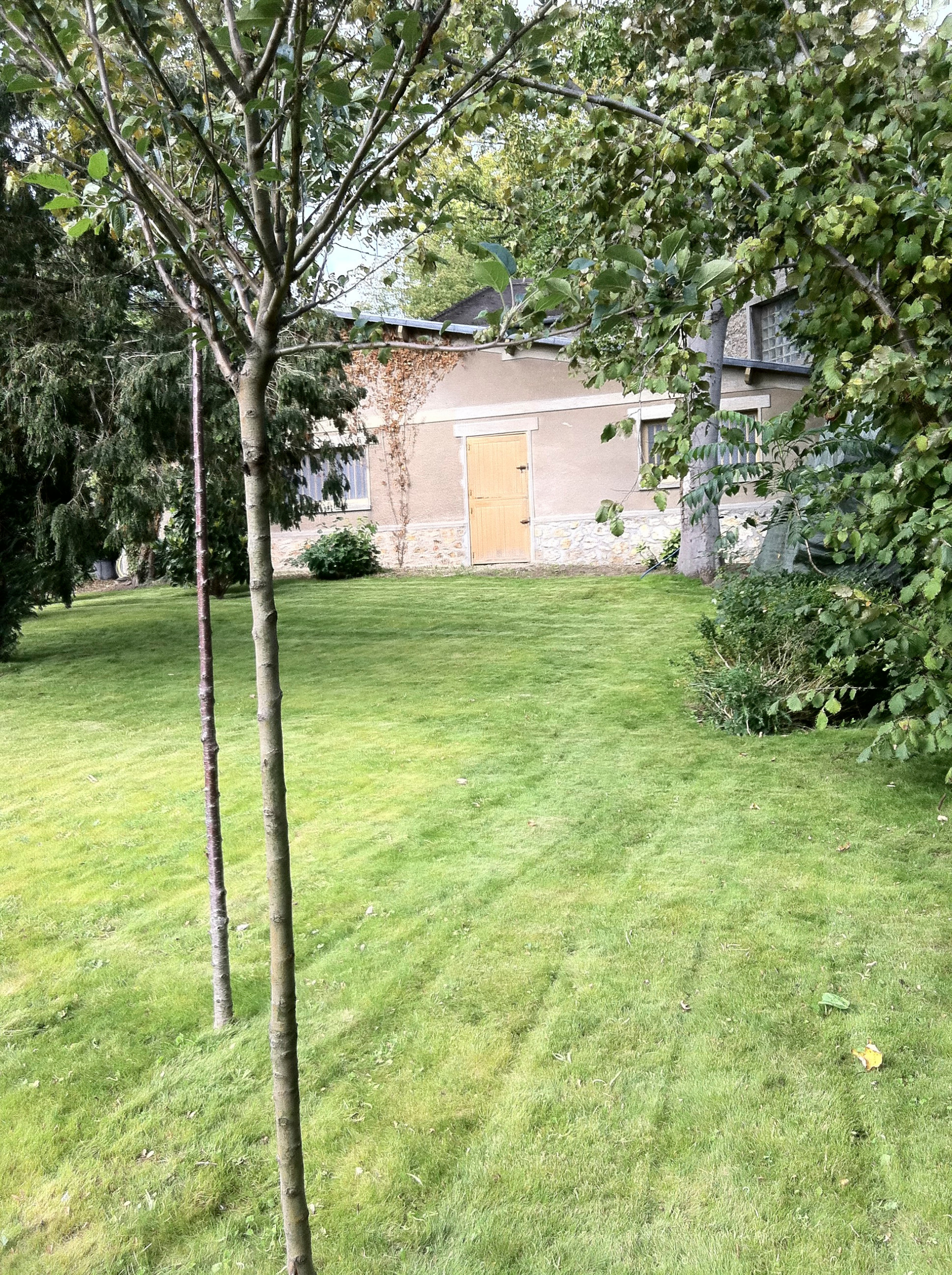 Корневая система растений: Почему важно в ней разбираться