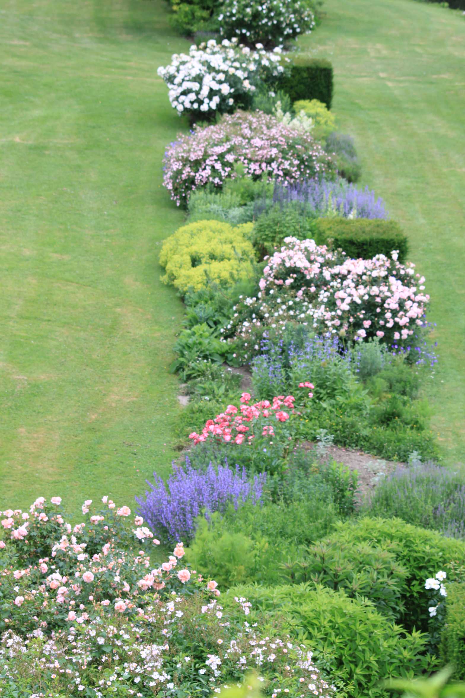 Хороший вопрос: Что посадить — однолетники или многолетники?