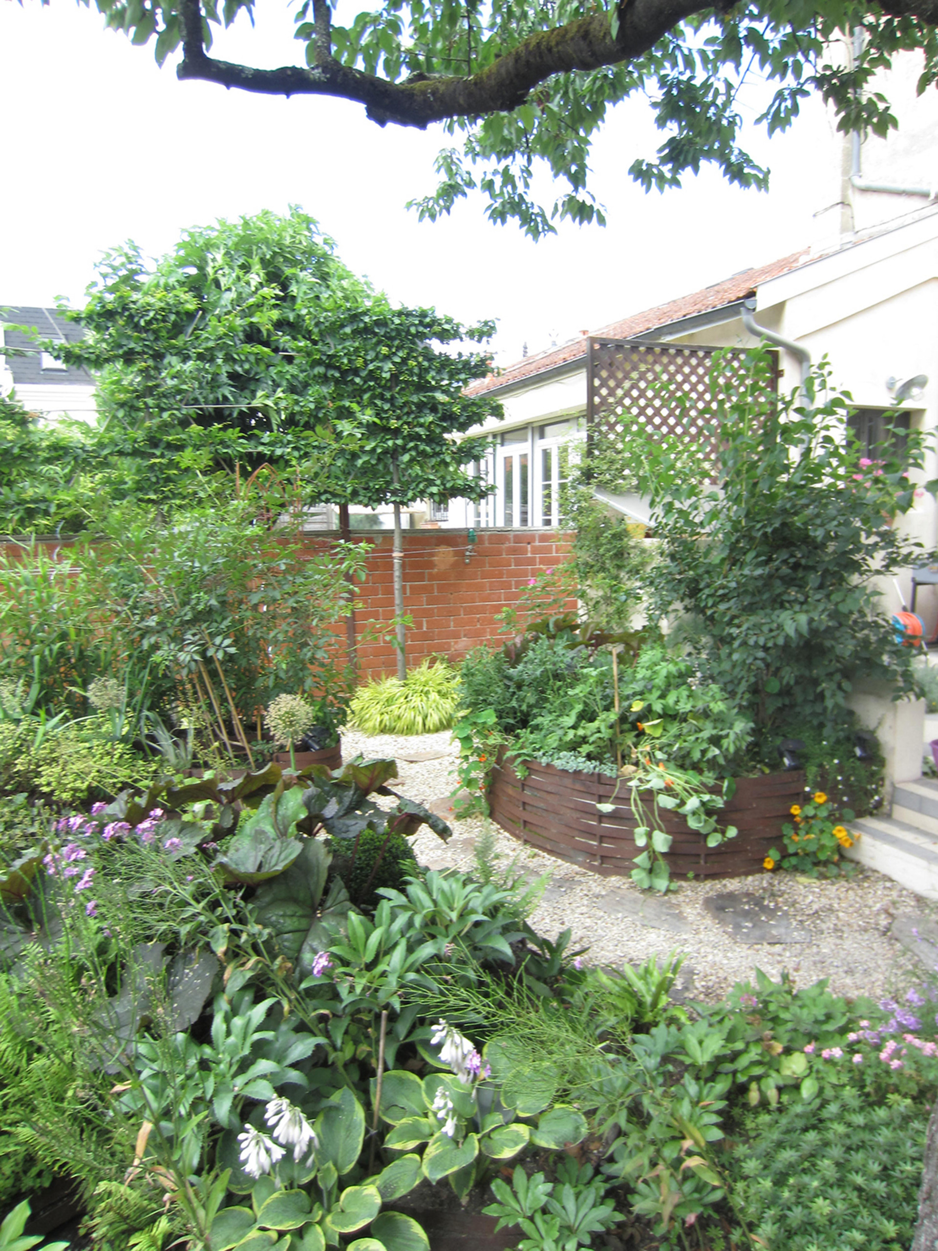 Уходим в тень: Теневыносливые растения для сада