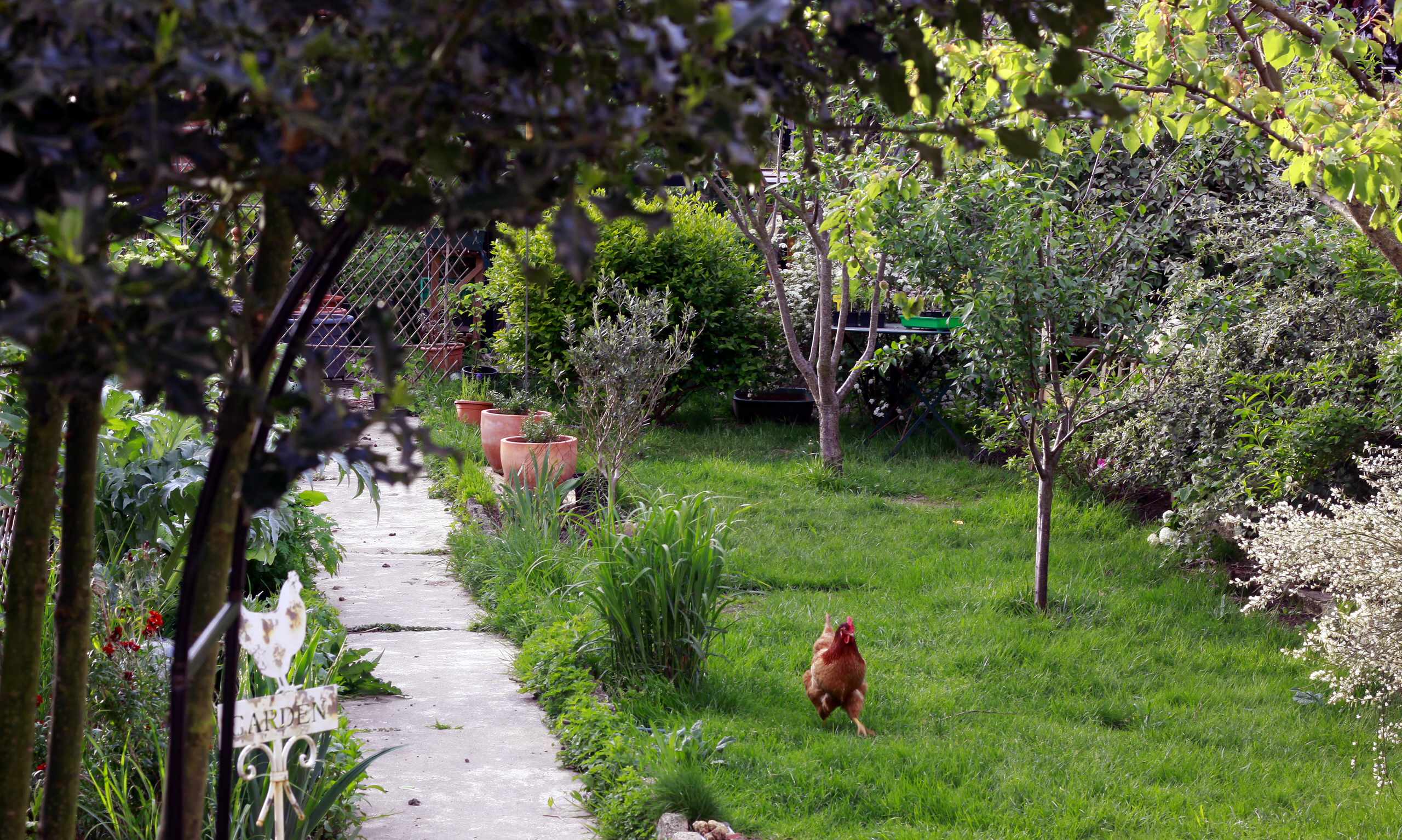 Работа над ошибками: Что пошло не так с плодовыми