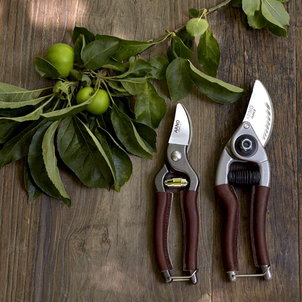 Приоритеты: Как ухаживать за садом, если у вас нет опыта