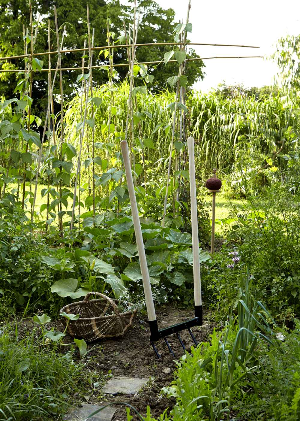 Хороший вопрос: Как избавиться от сорняков на даче навсегда