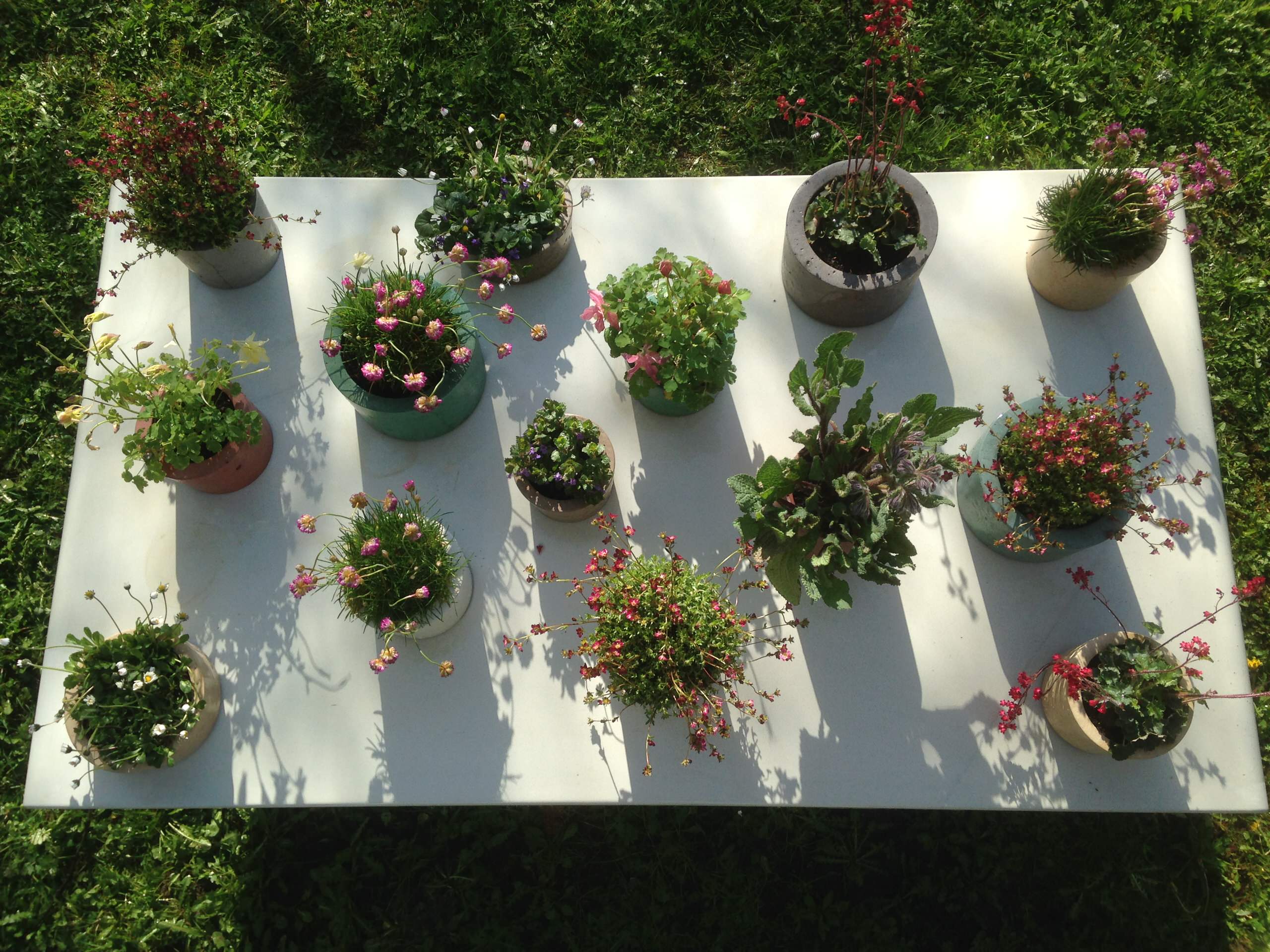 Горшку — место: 14 идей, куда можно поставить растения в кашпо