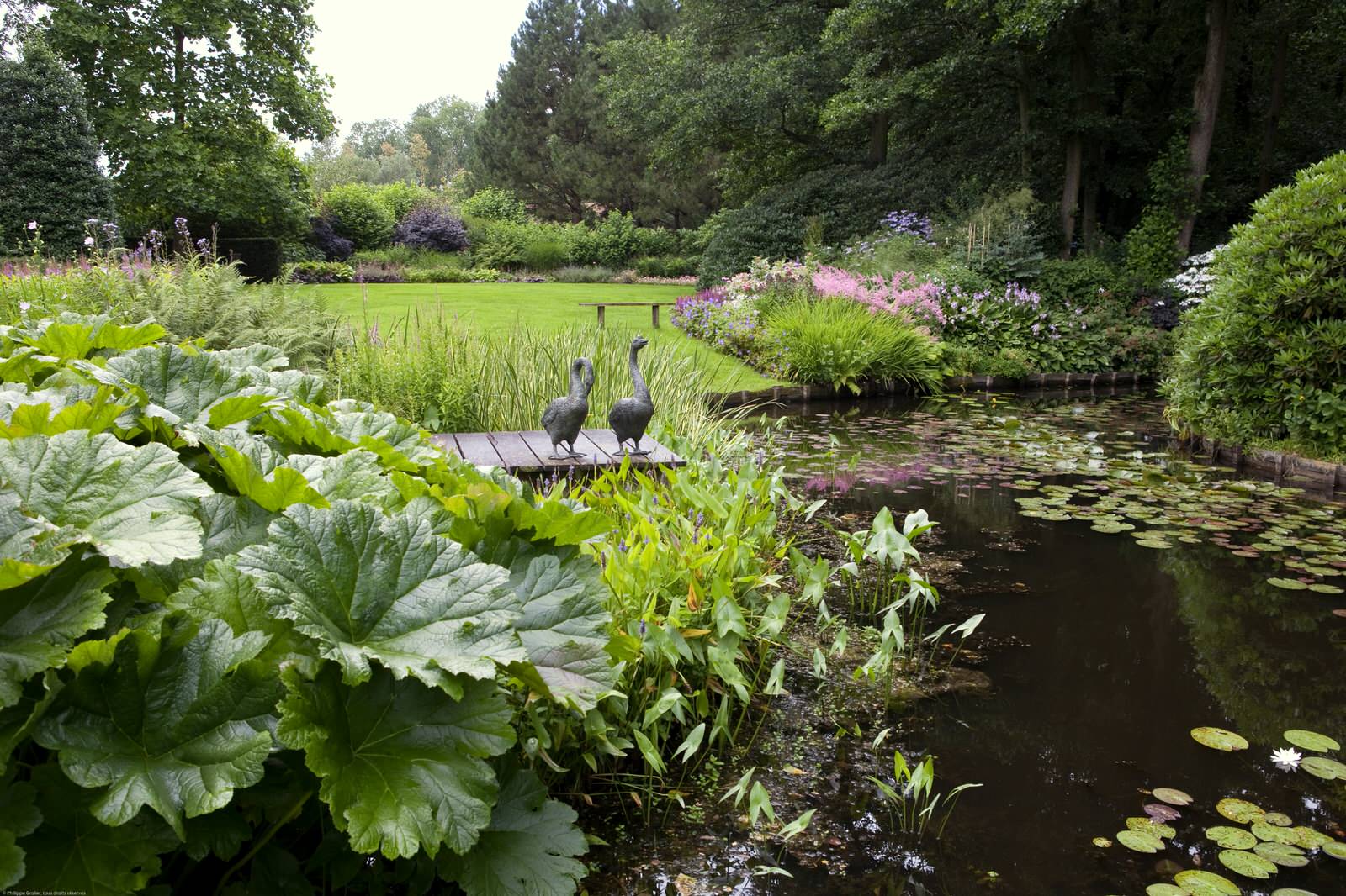 Сад недели: Романтическое убежище в Бельгии