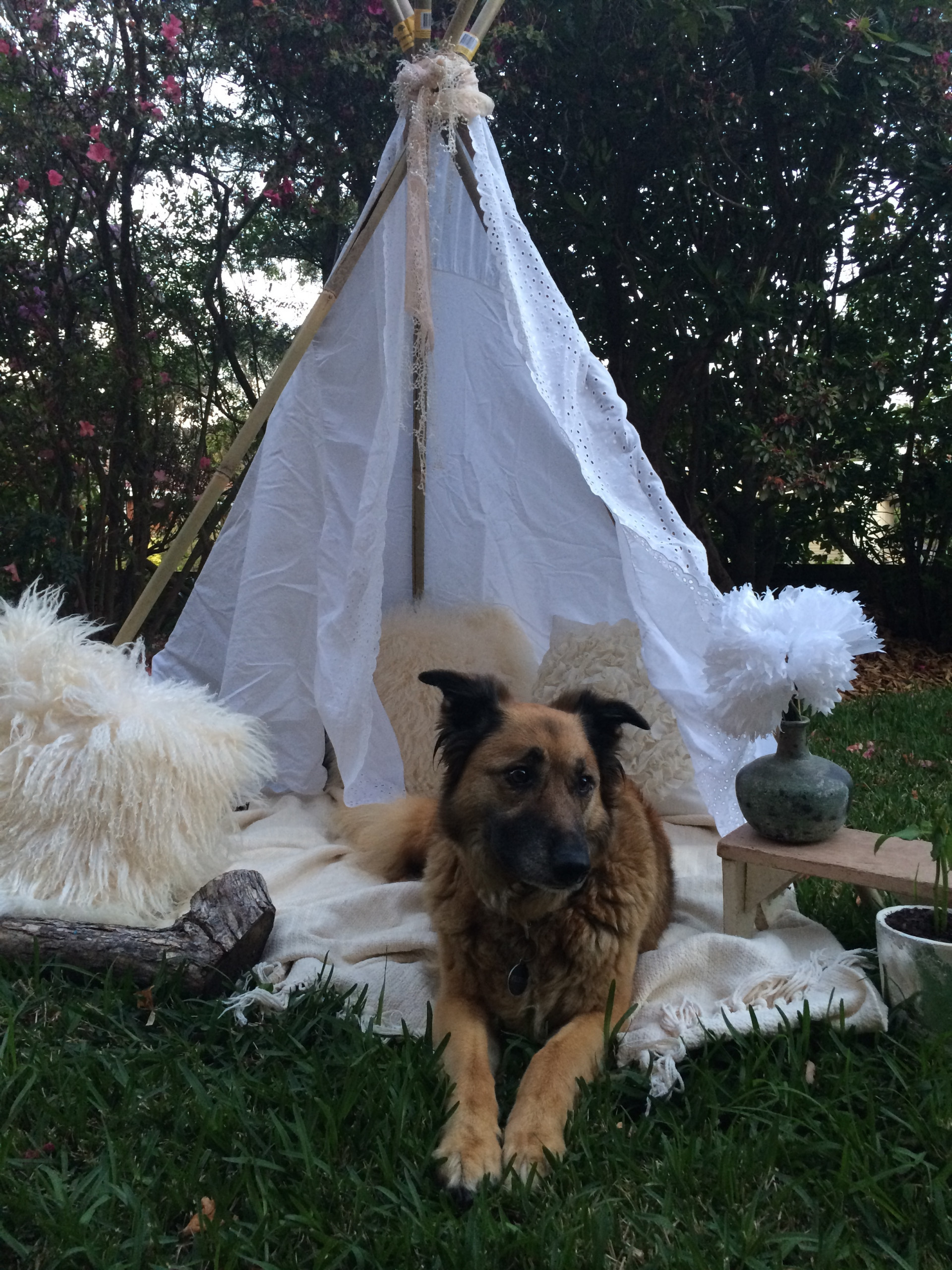 Как правильно: Выбрать растения для сада будущего года