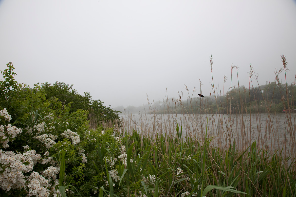 Вопрос: Как сделать свой сад привлекательным для птиц
