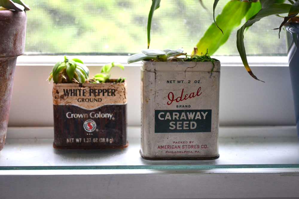 Кухня: 8 вещей, которые вы храните на кухне [и зря]