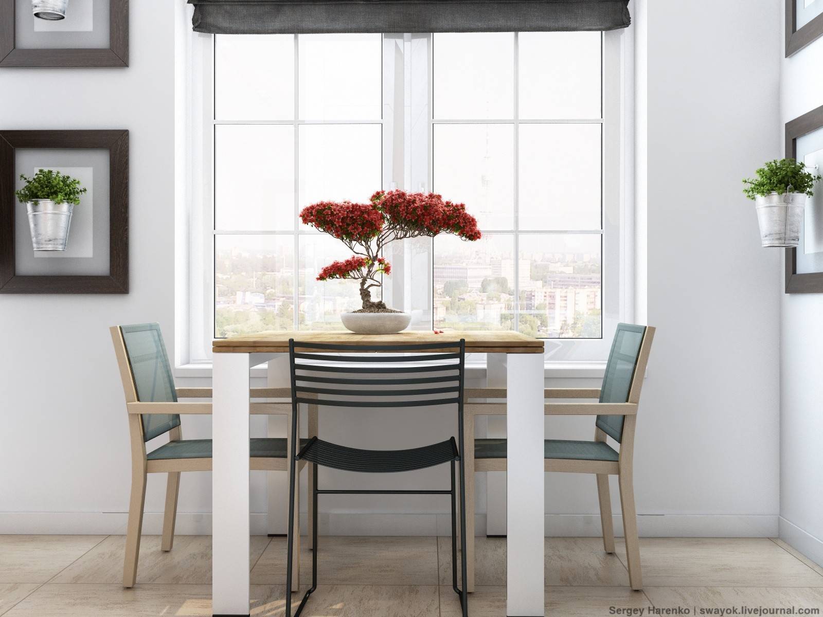 Хороший вопрос: Как вырастить бонсай в домашних условиях