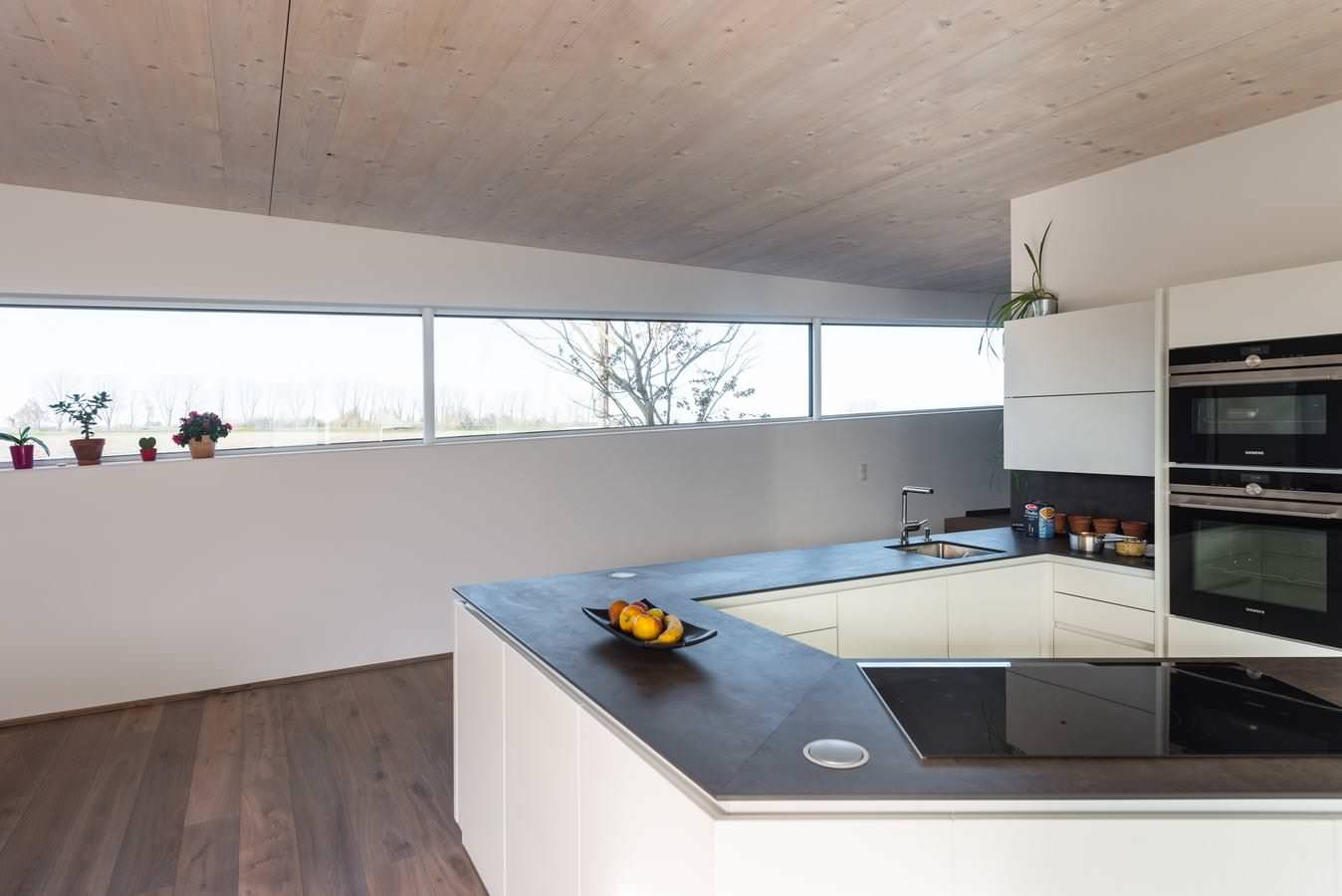 Houzz Австрия: Деревянный дом с «зеленой» крышей под Веной