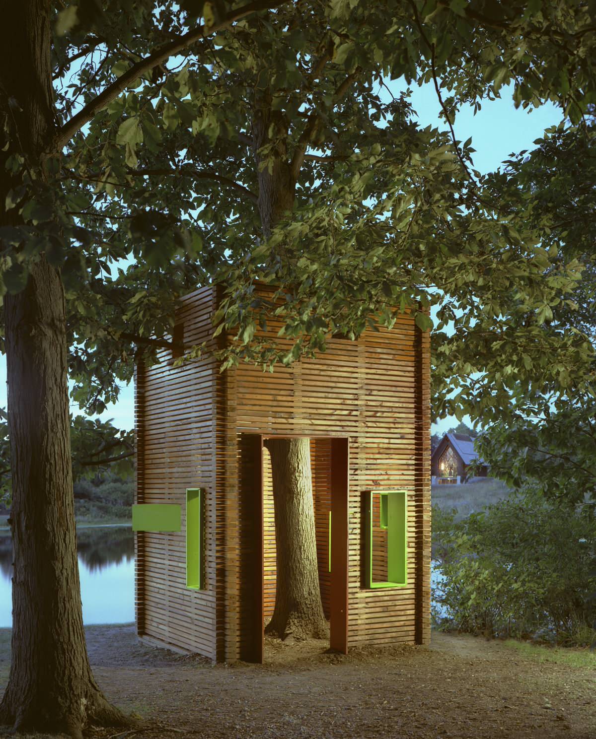 Архитектура: Как ужиться с растущим в доме деревом