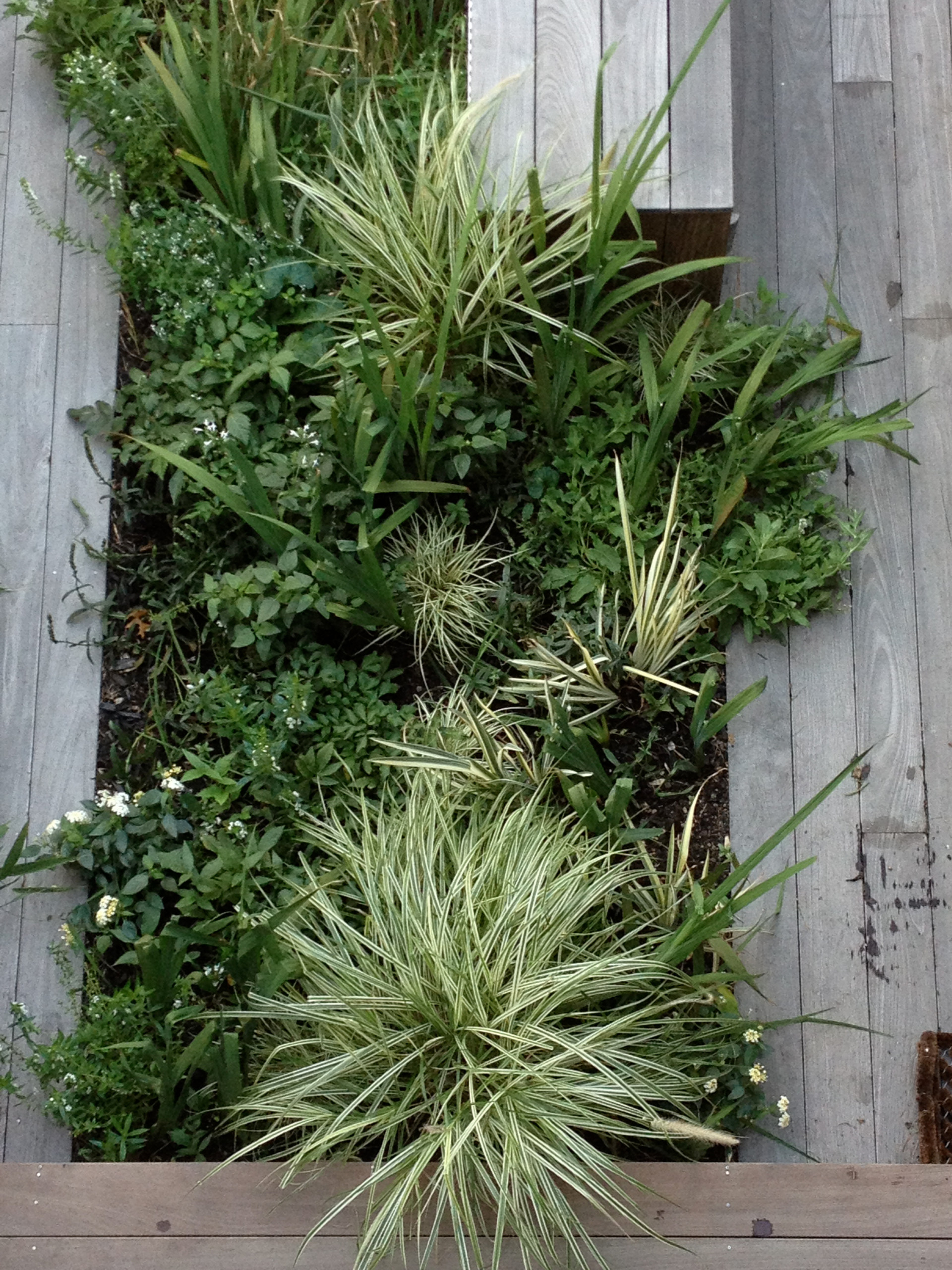 Планировка: Участки при таунхаусах — что учесть