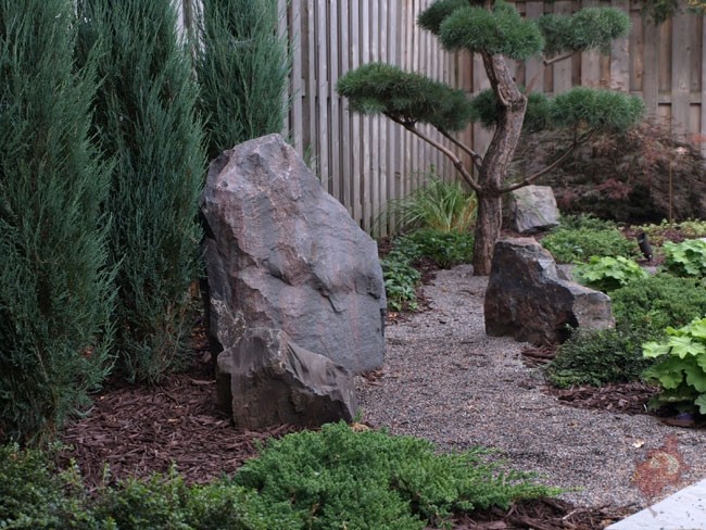 «Каменный цветок»: Как обустроить сухой сад камней