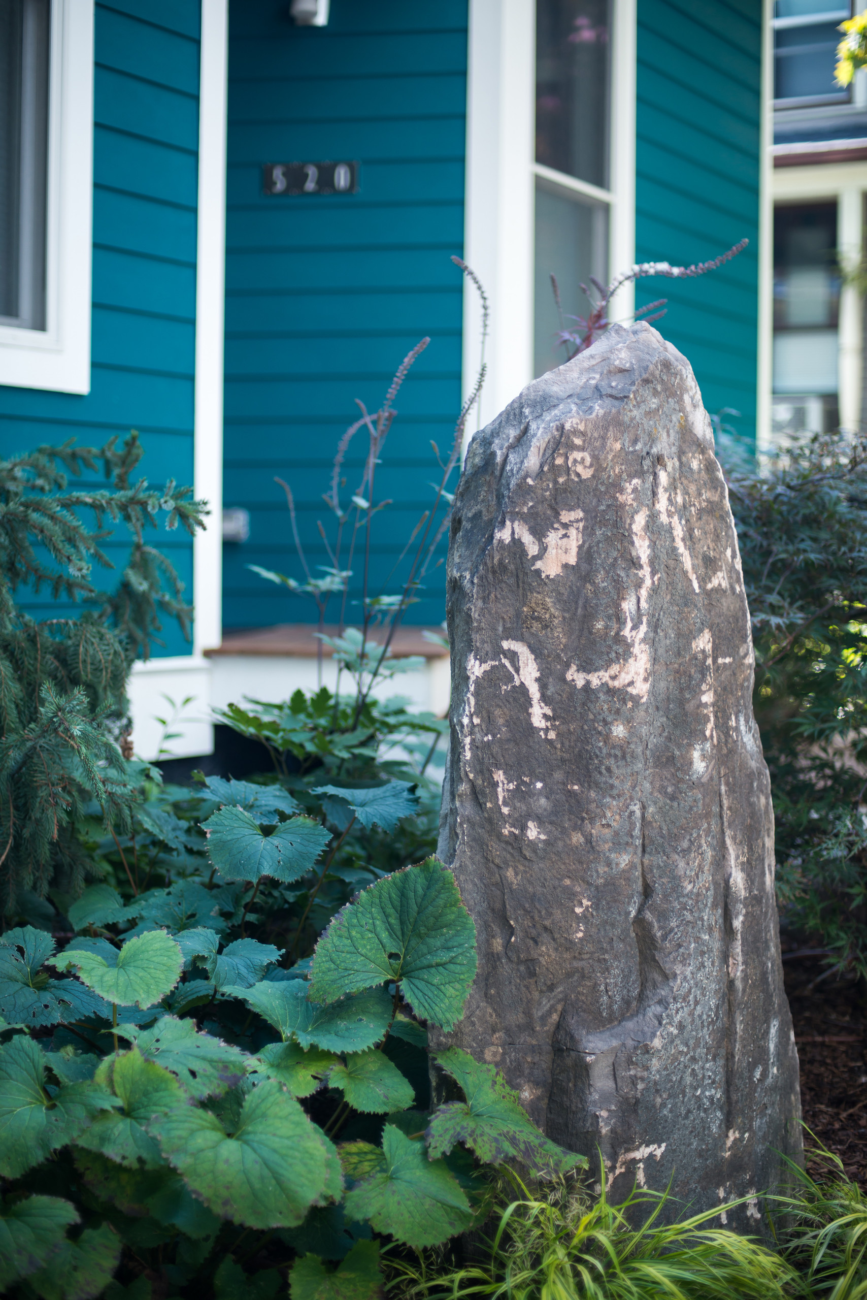 Одним цветом: Оформление участка в единой цветовой гамме